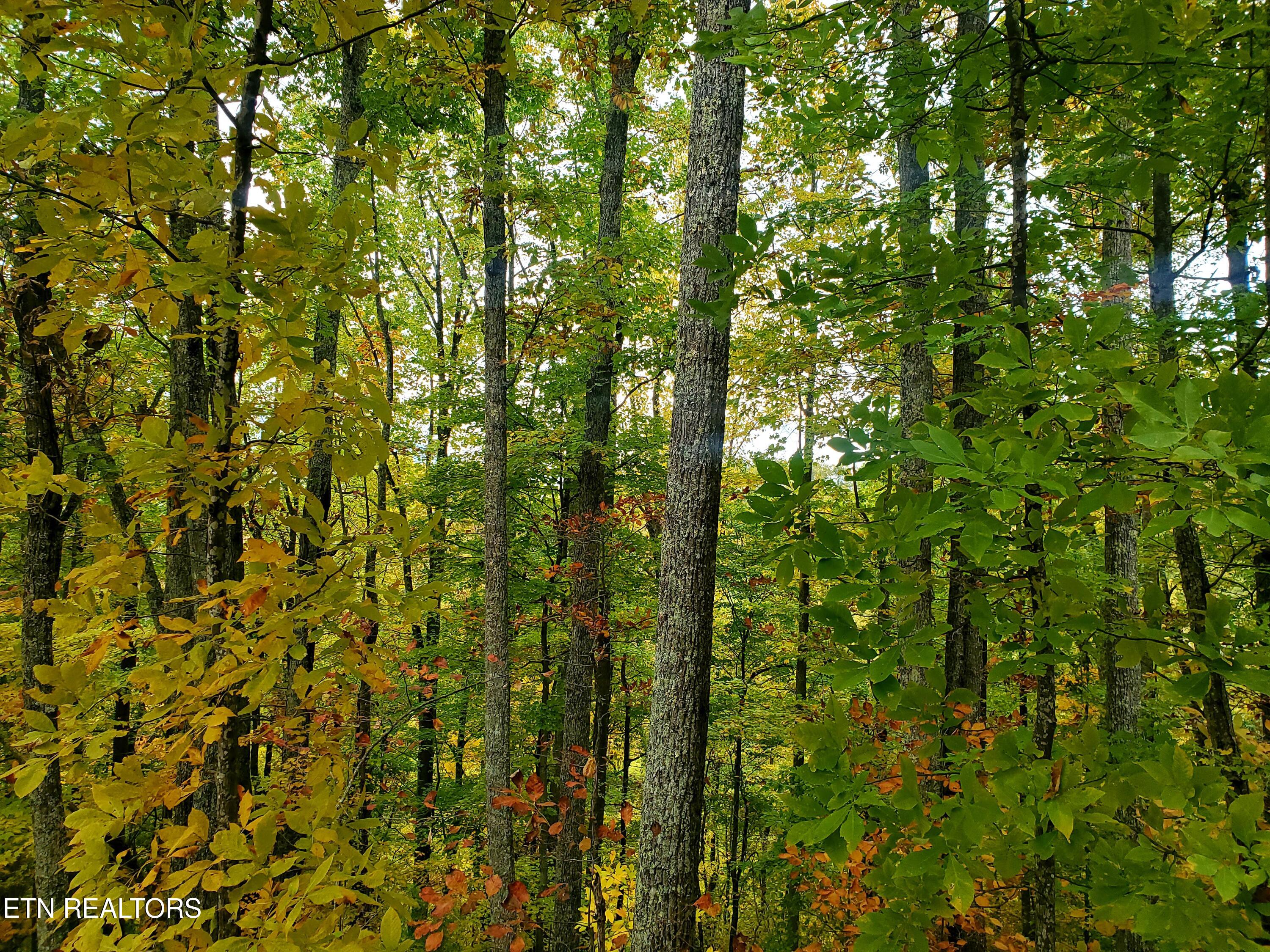 Lot 46 Feld Wynde Close Way Sevierville TN 37862