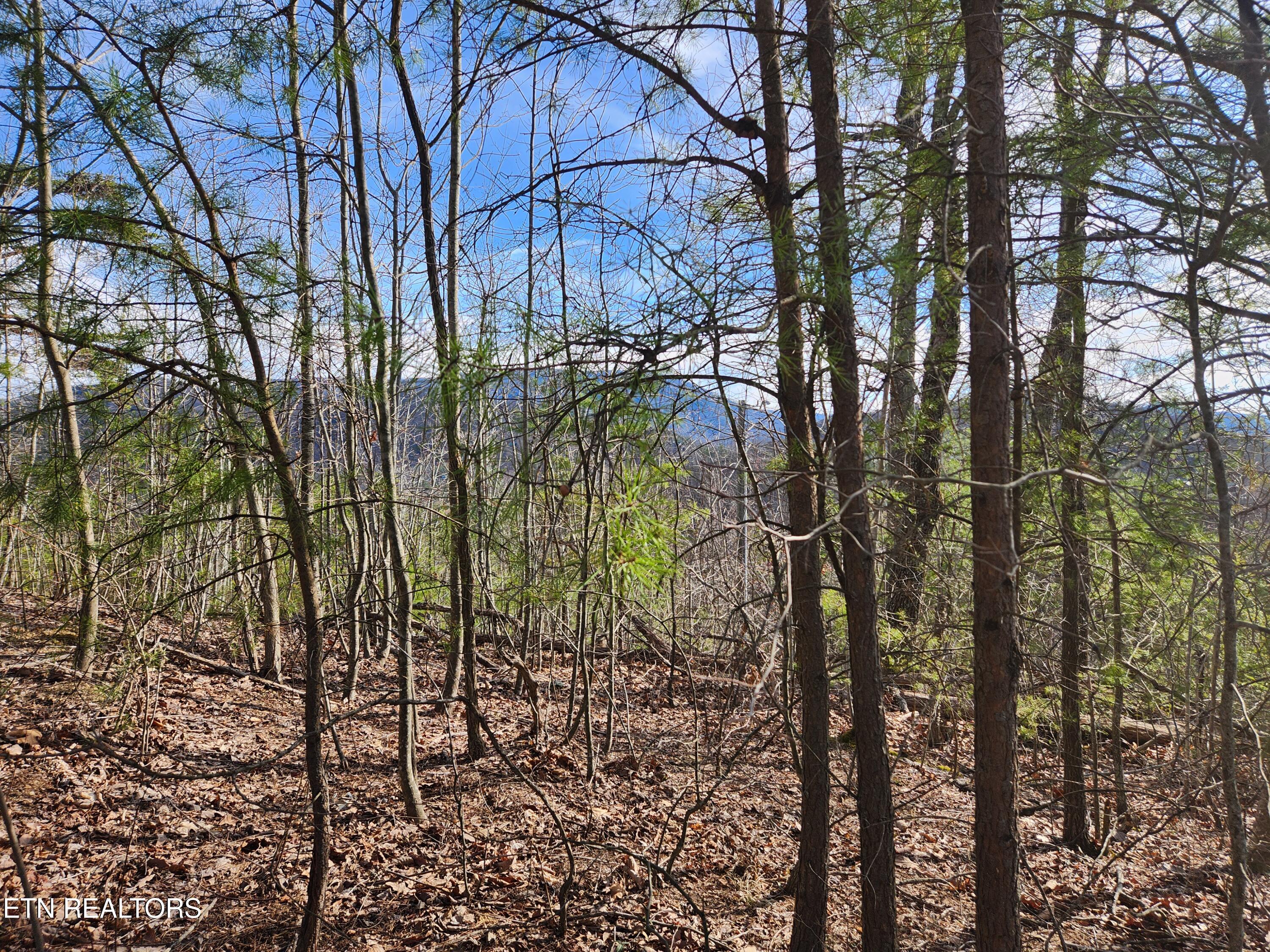 Lot 46 Feld Wynde Close Way Sevierville TN 37862