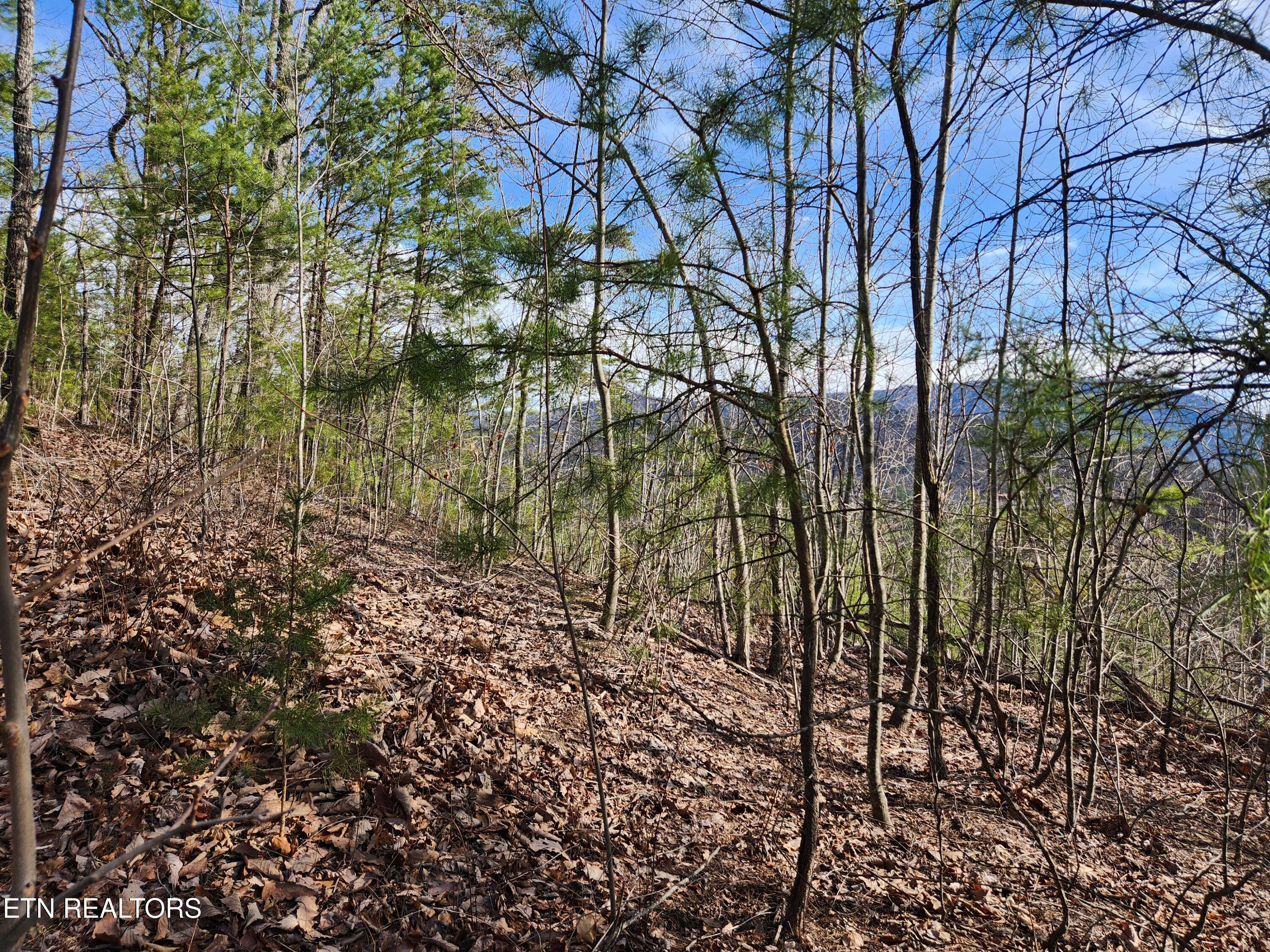 Lot 46 Feld Wynde Close Way Sevierville TN 37862