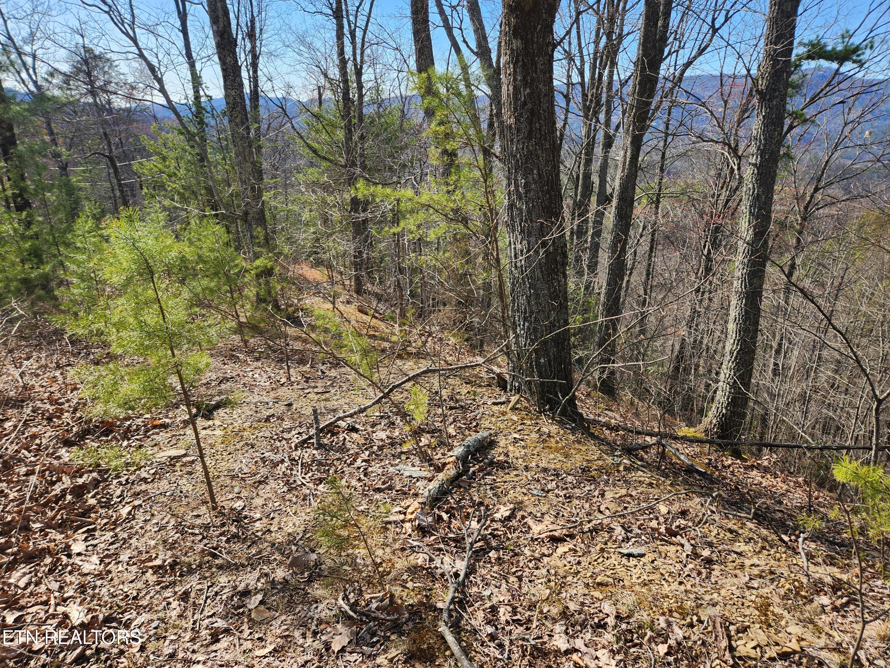 Lot 46 Feld Wynde Close Way Sevierville TN 37862