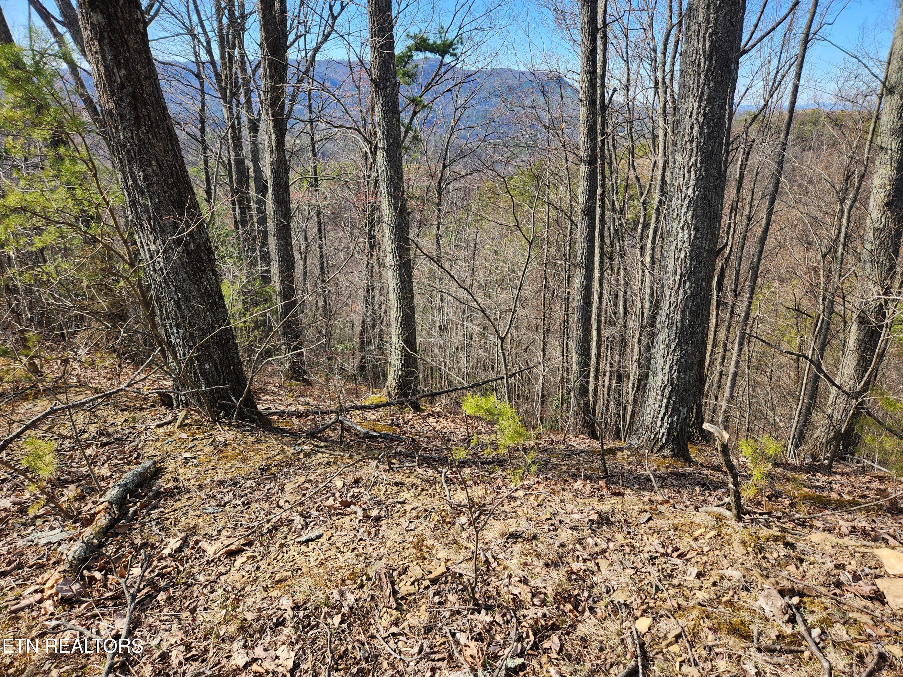 Lot 46 Feld Wynde Close Way Sevierville TN 37862