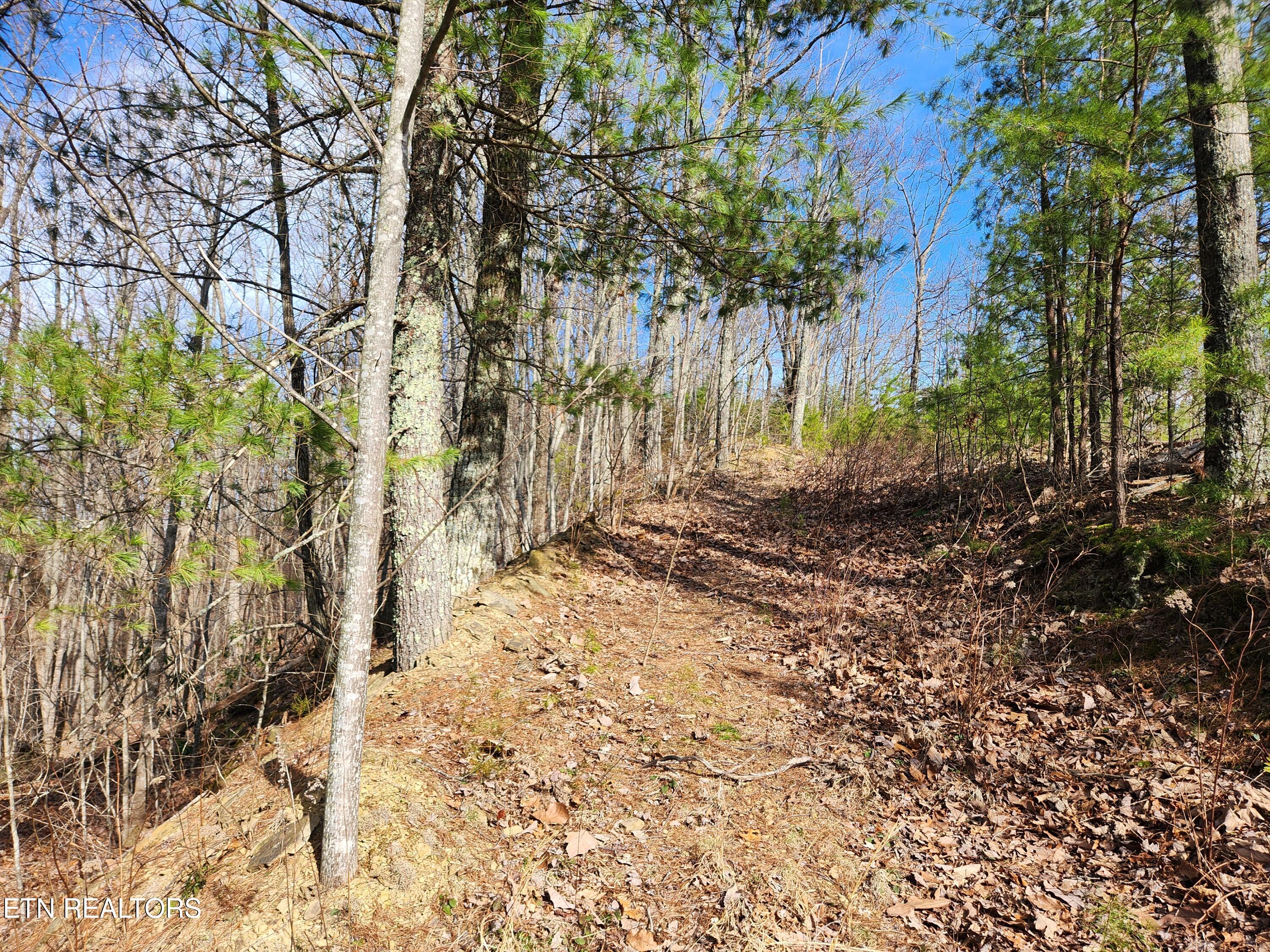 Lot 46 Feld Wynde Close Way Sevierville TN 37862