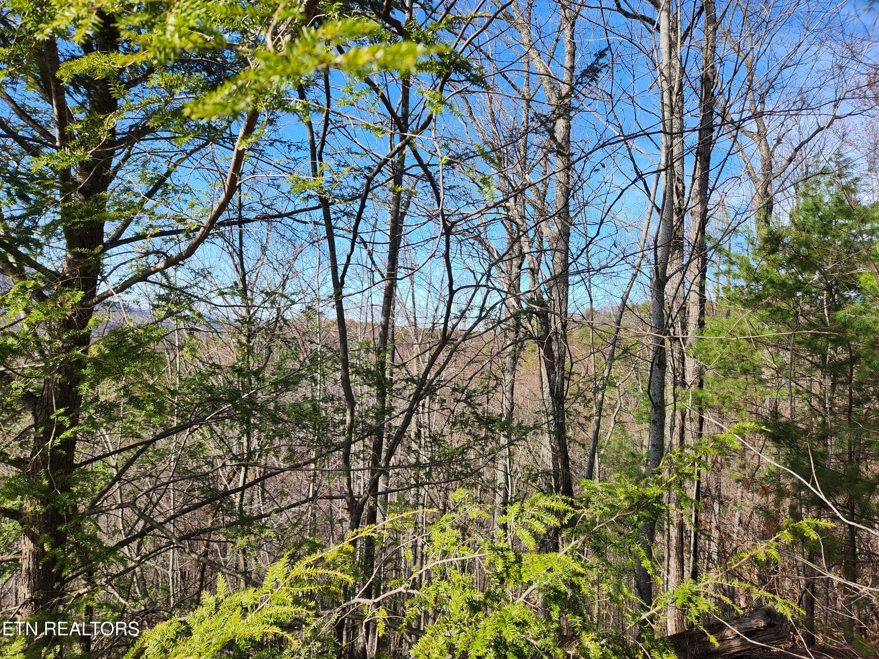 Lot 46 Feld Wynde Close Way Sevierville TN 37862