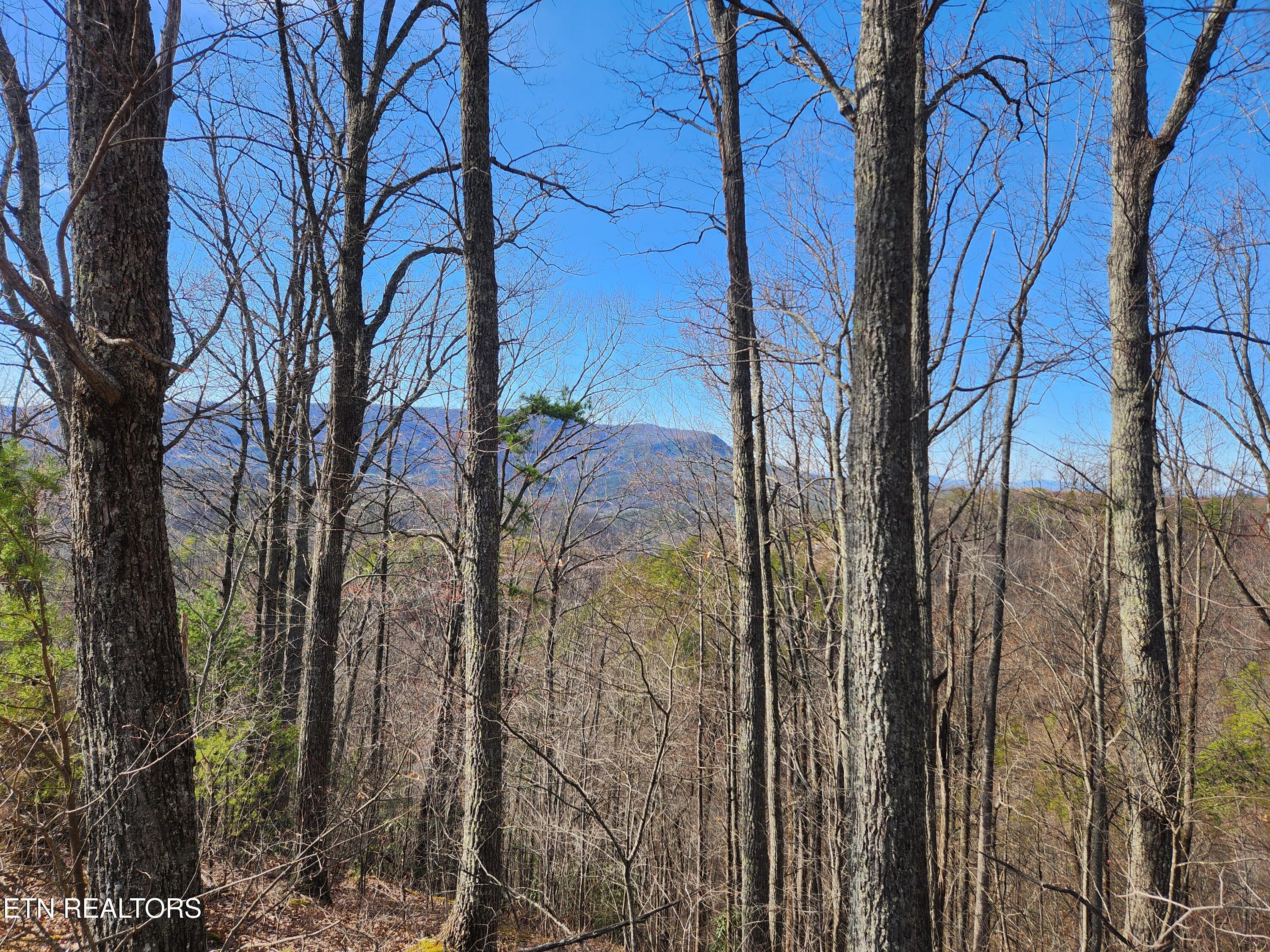 Lot 46 Feld Wynde Close Way Sevierville TN 37862