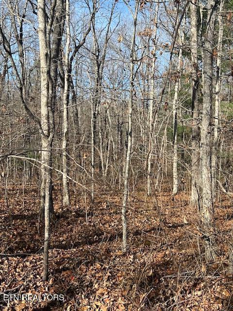 9142 Weketa Circle Crossville TN 38572
