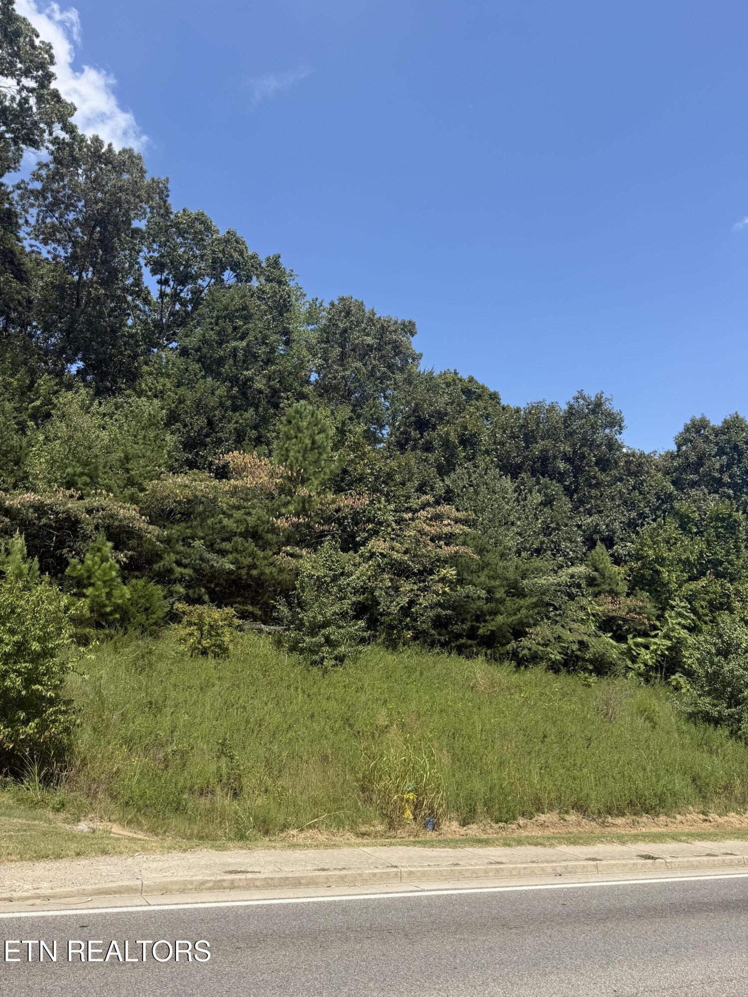 4601 &4605 Western Avenue Knoxville TN 37921