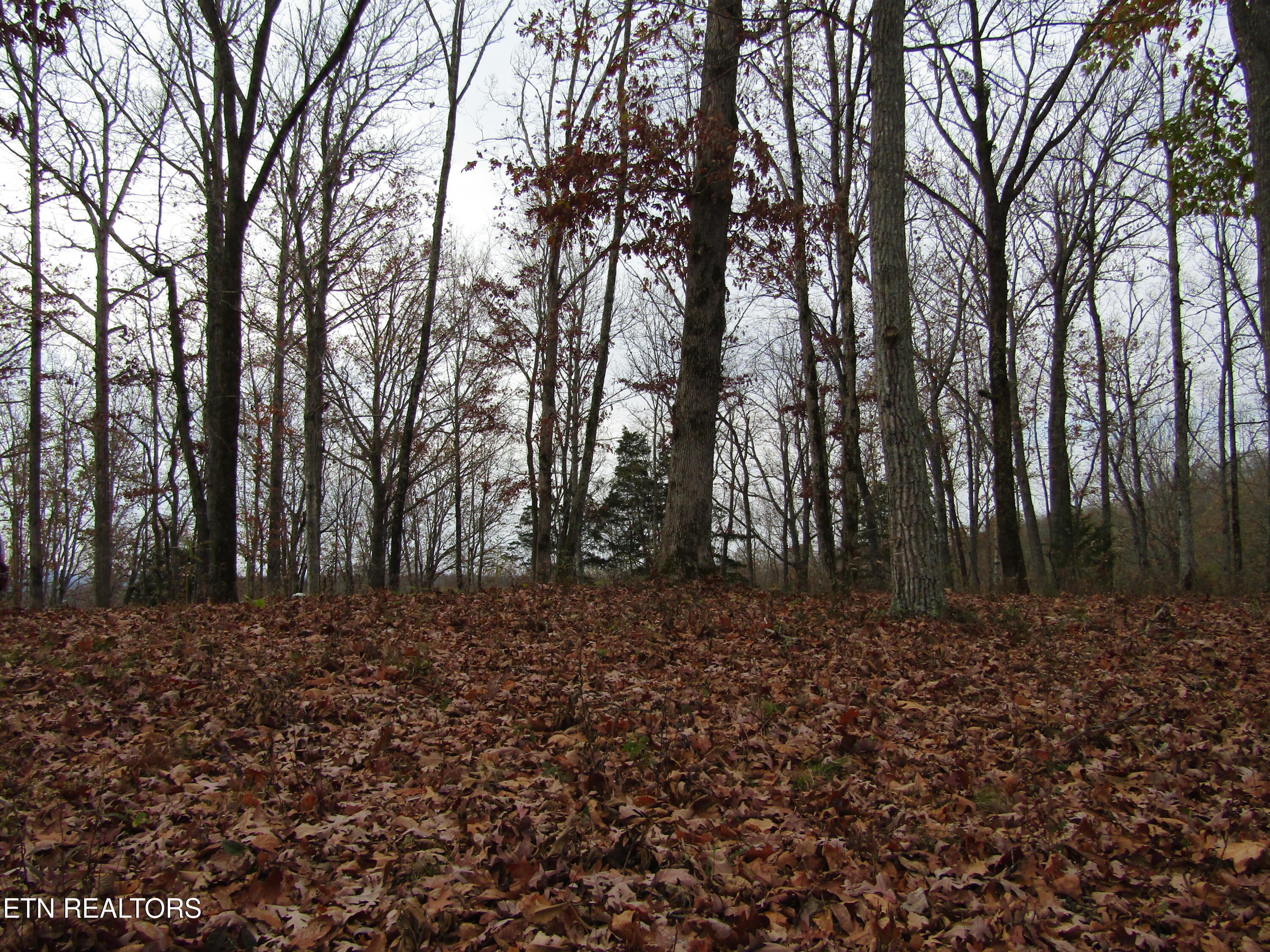 Lot 27c E Rockfish Road Hilham TN 38568