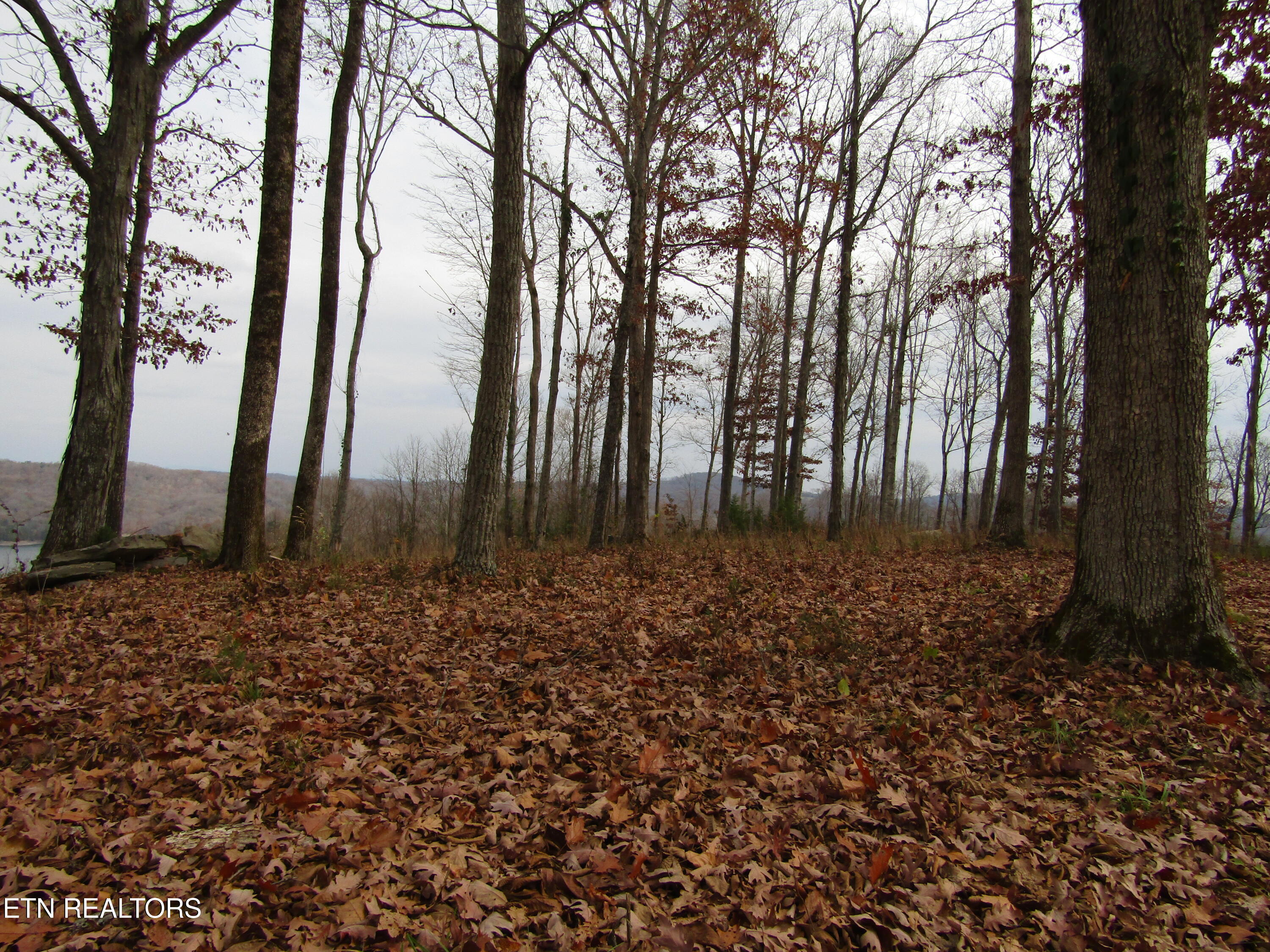 Lot 27c E Rockfish Road Hilham TN 38568