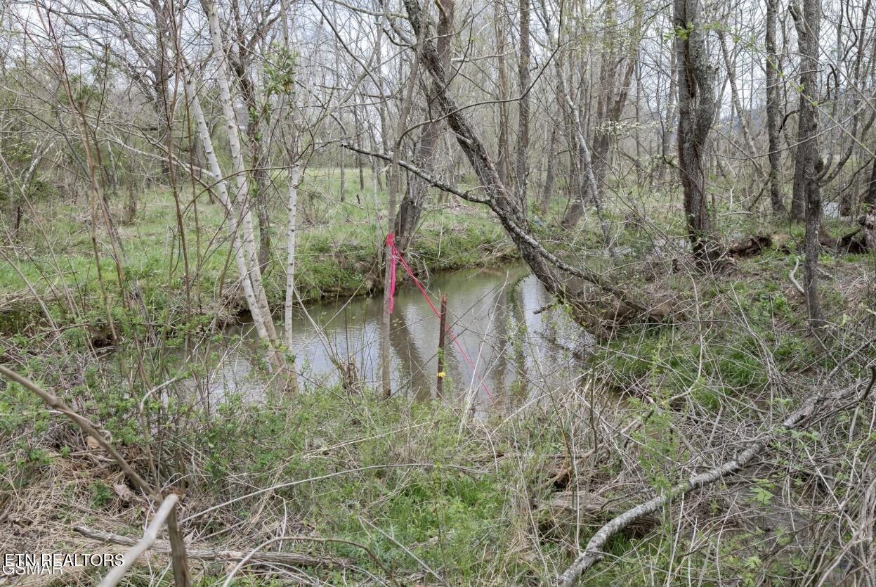 Lot B Tarwater Lane Sevierville TN 37862
