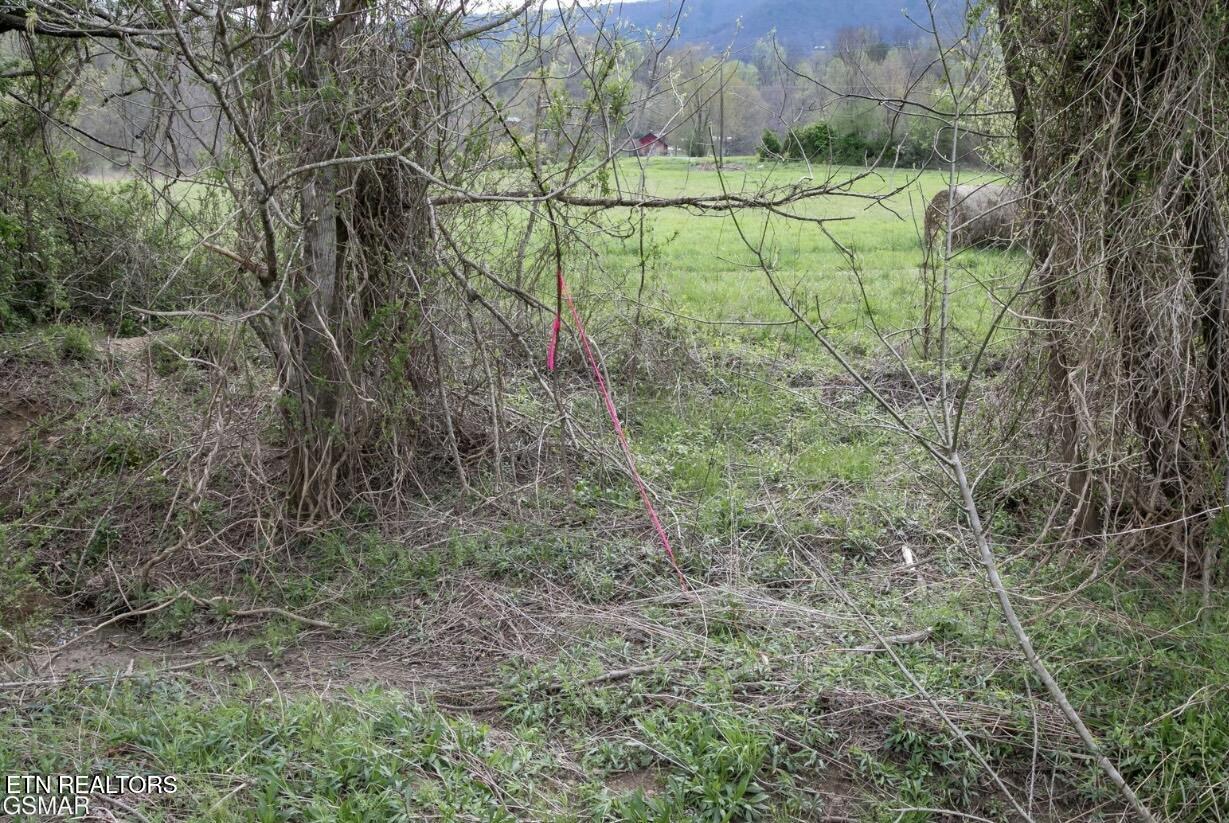 Lot B Tarwater Lane Sevierville TN 37862