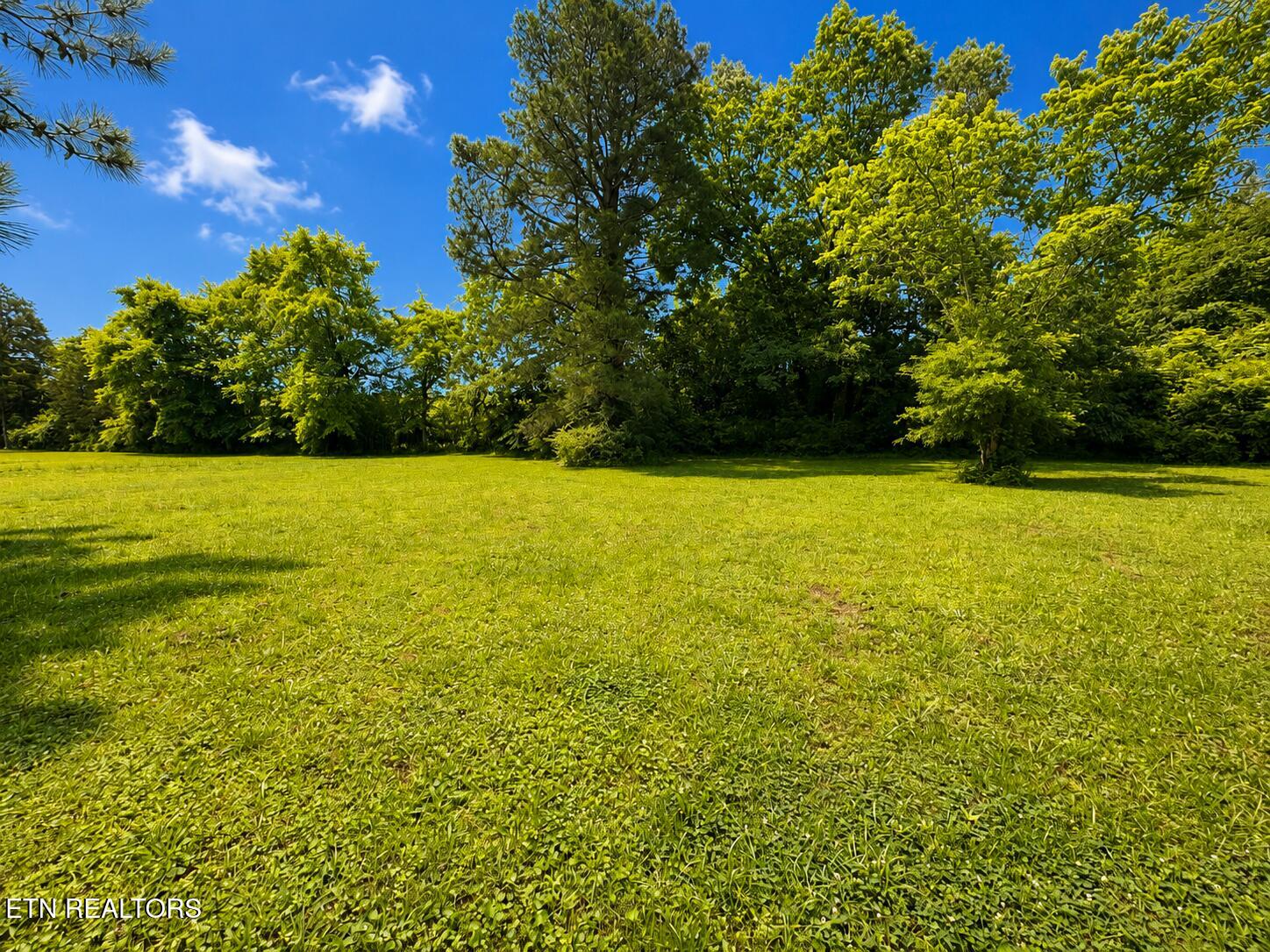 191 Curnutt Lane Ten Mile TN 37880