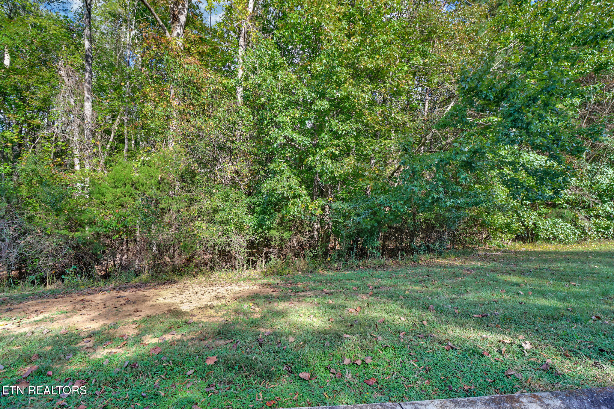 Lot 30 Indigo Bunting Drive Harriman TN 37748