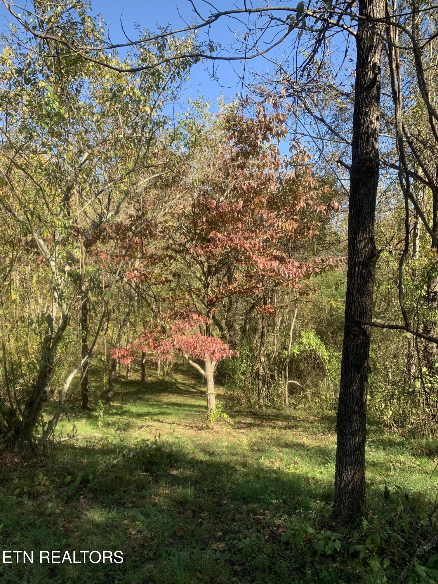 Exeter Drive Andersonville TN 37705