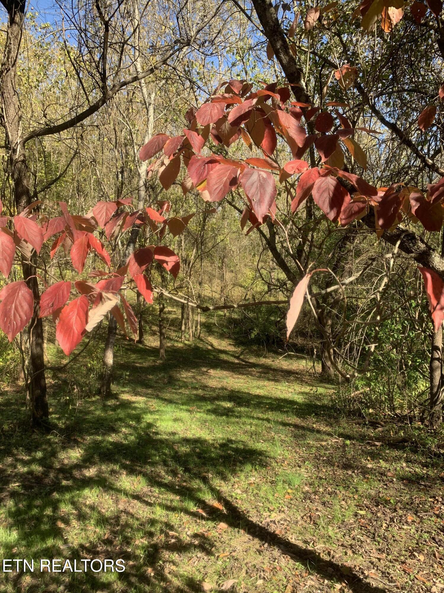 Exeter Drive Andersonville TN 37705