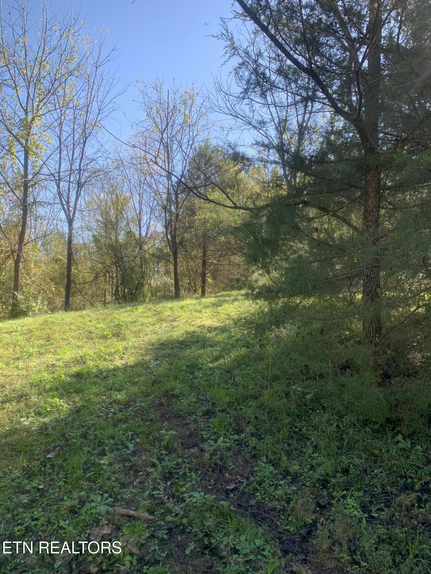 Exeter Drive Andersonville TN 37705