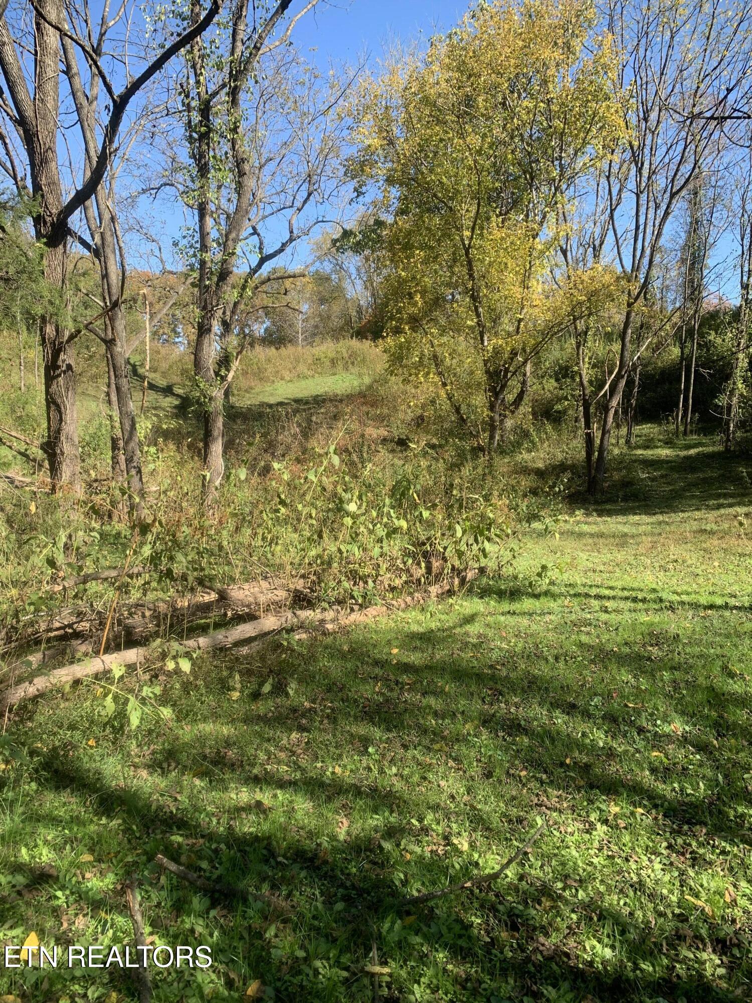 Exeter Drive Andersonville TN 37705