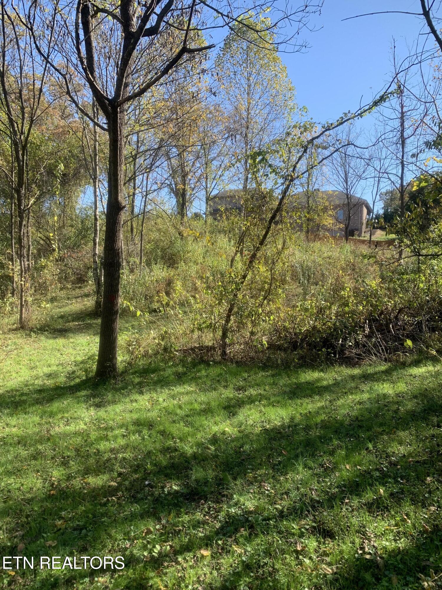 Exeter Drive Andersonville TN 37705