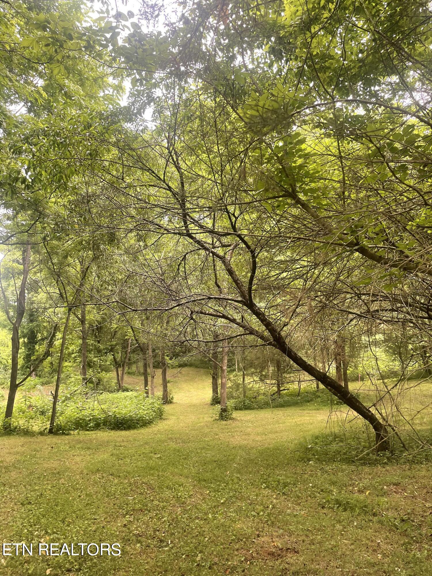 Exeter Drive Andersonville TN 37705