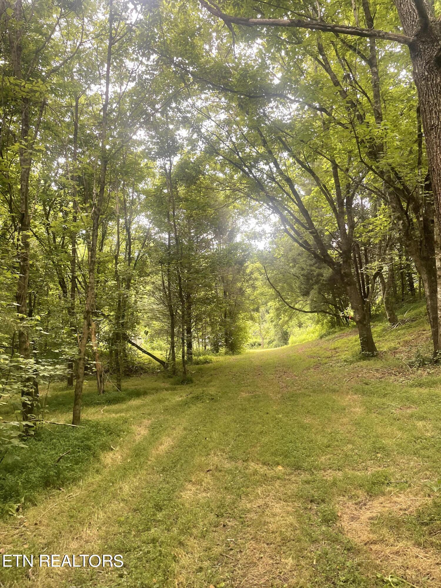 Exeter Drive Andersonville TN 37705