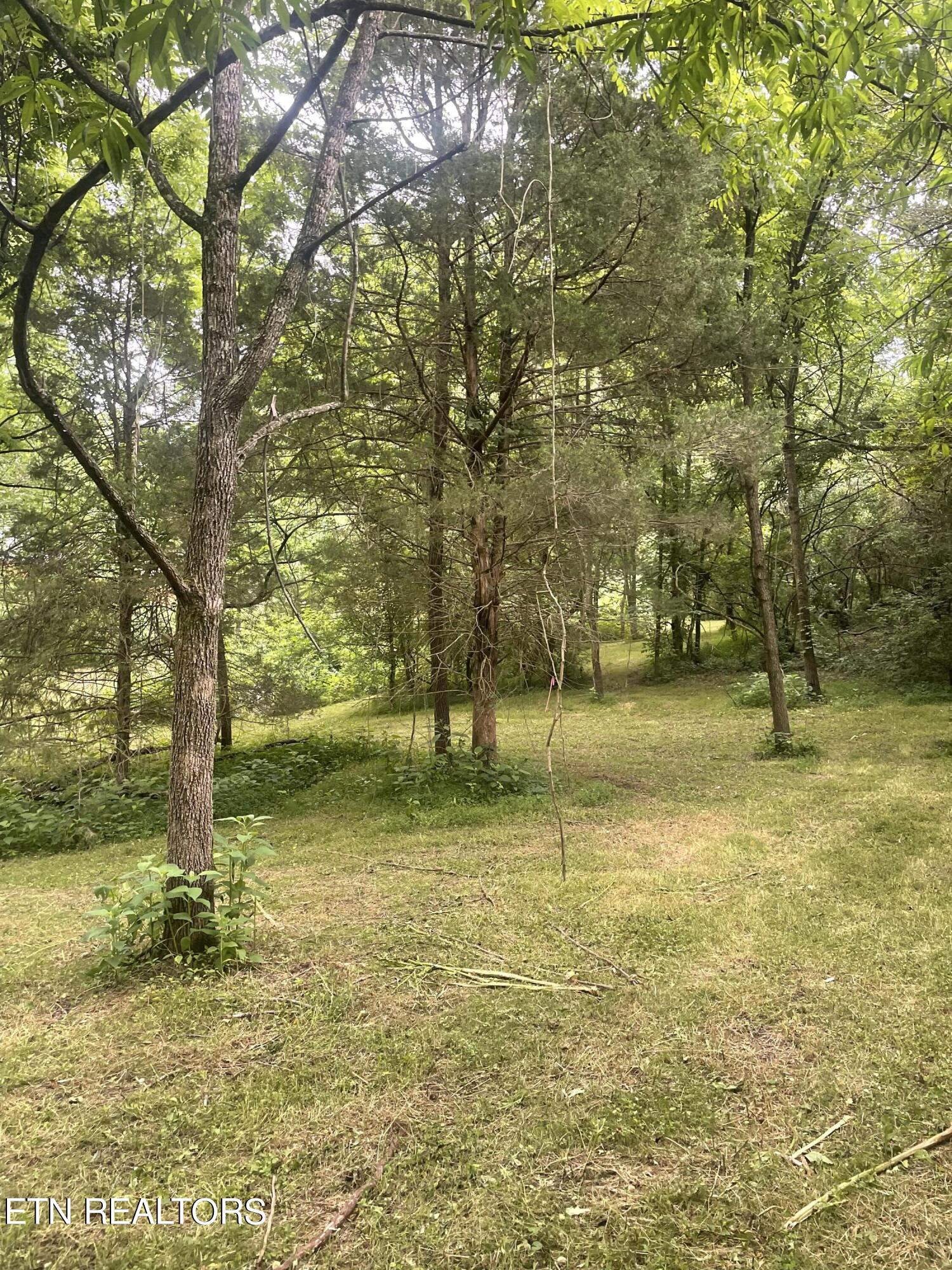 Exeter Drive Andersonville TN 37705