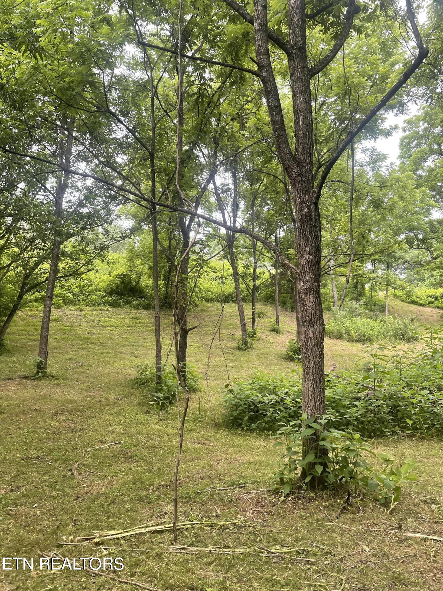 Exeter Drive Andersonville TN 37705