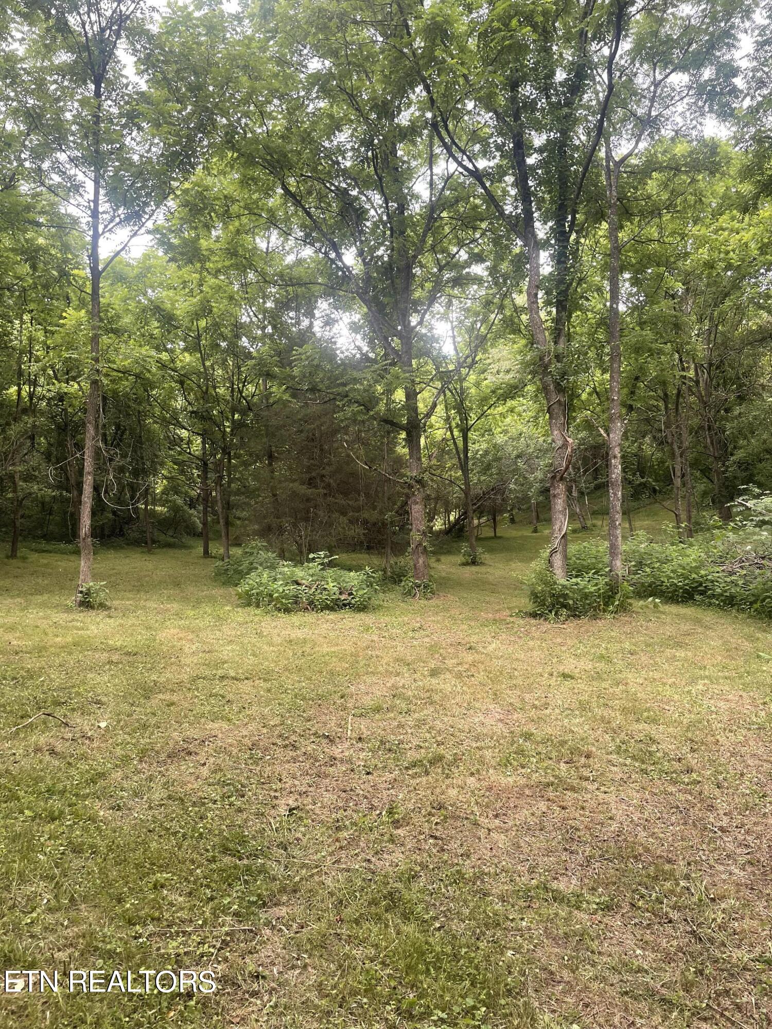 Exeter Drive Andersonville TN 37705