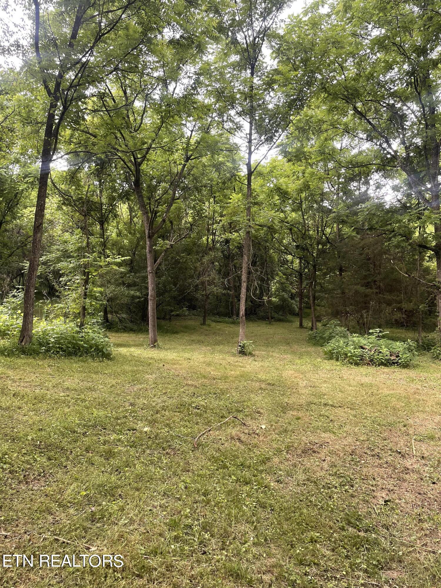 Exeter Drive Andersonville TN 37705