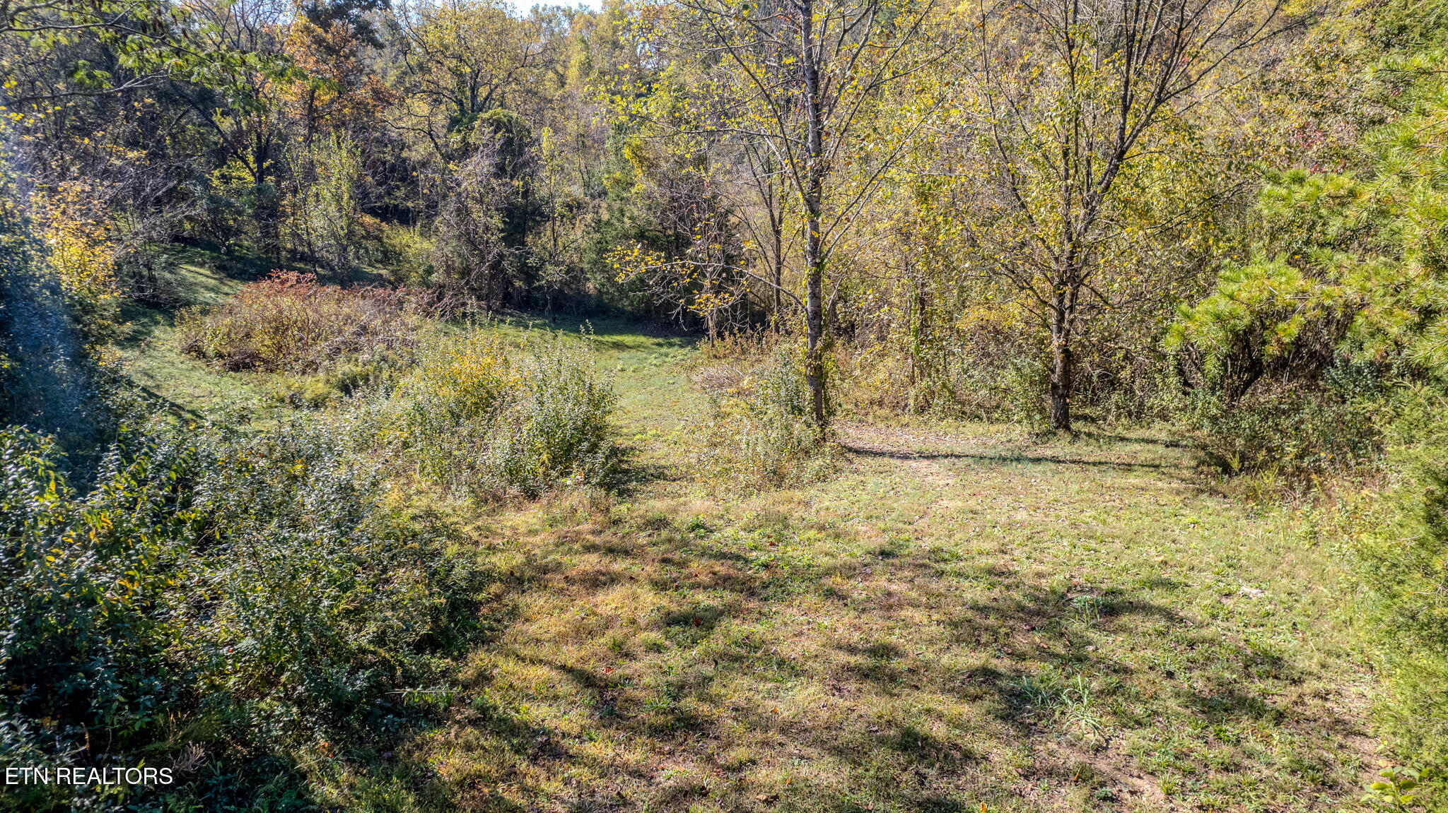 Exeter Drive Andersonville TN 37705