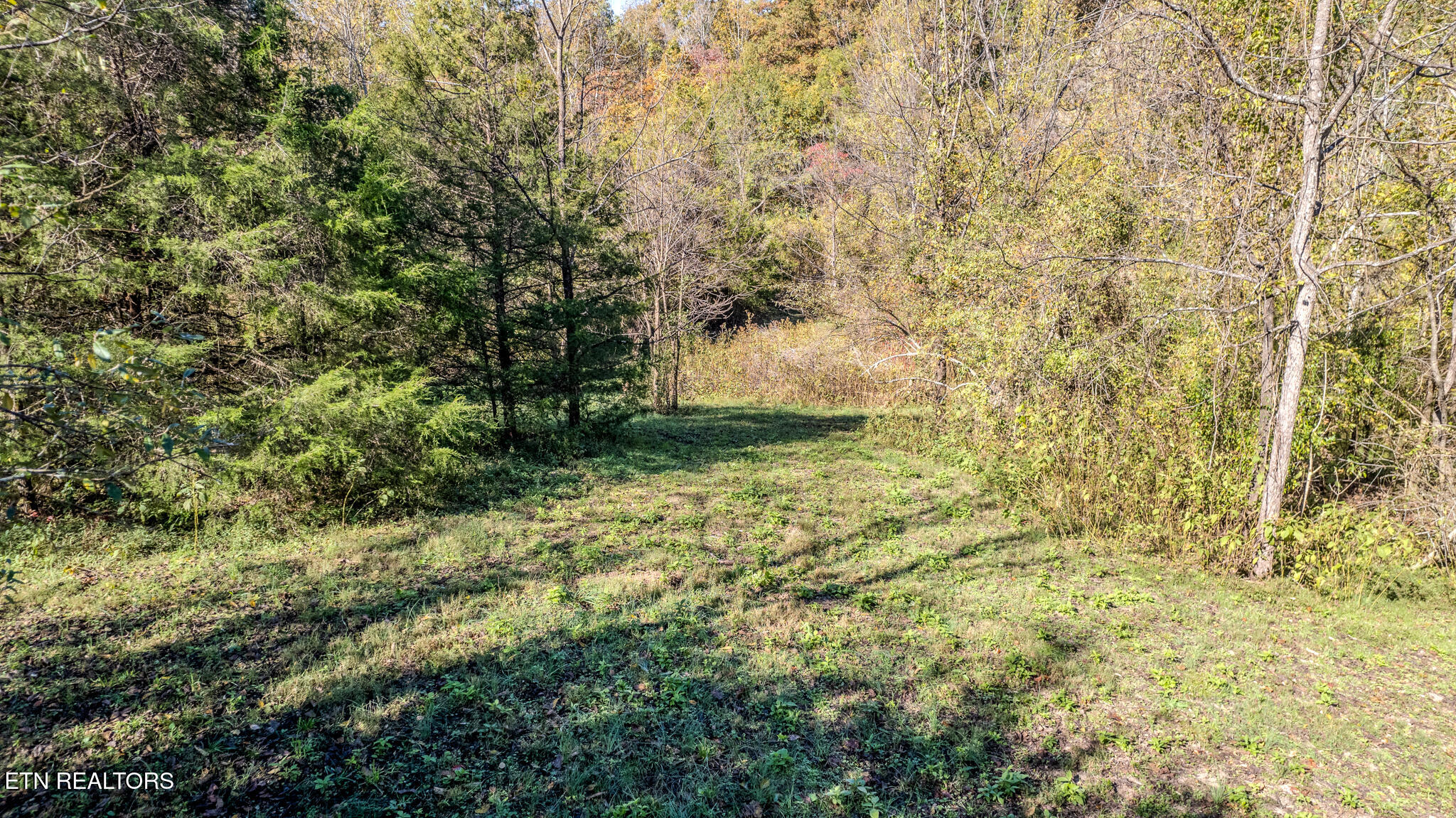 Exeter Drive Andersonville TN 37705