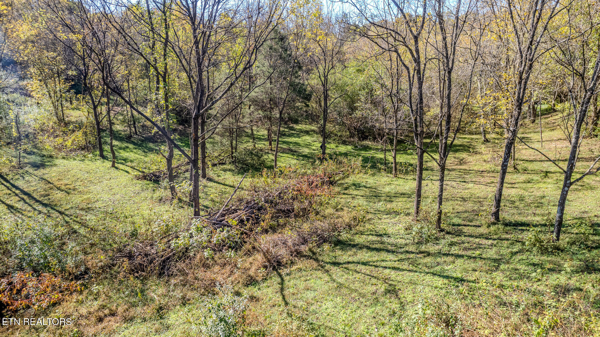 Exeter Drive Andersonville TN 37705