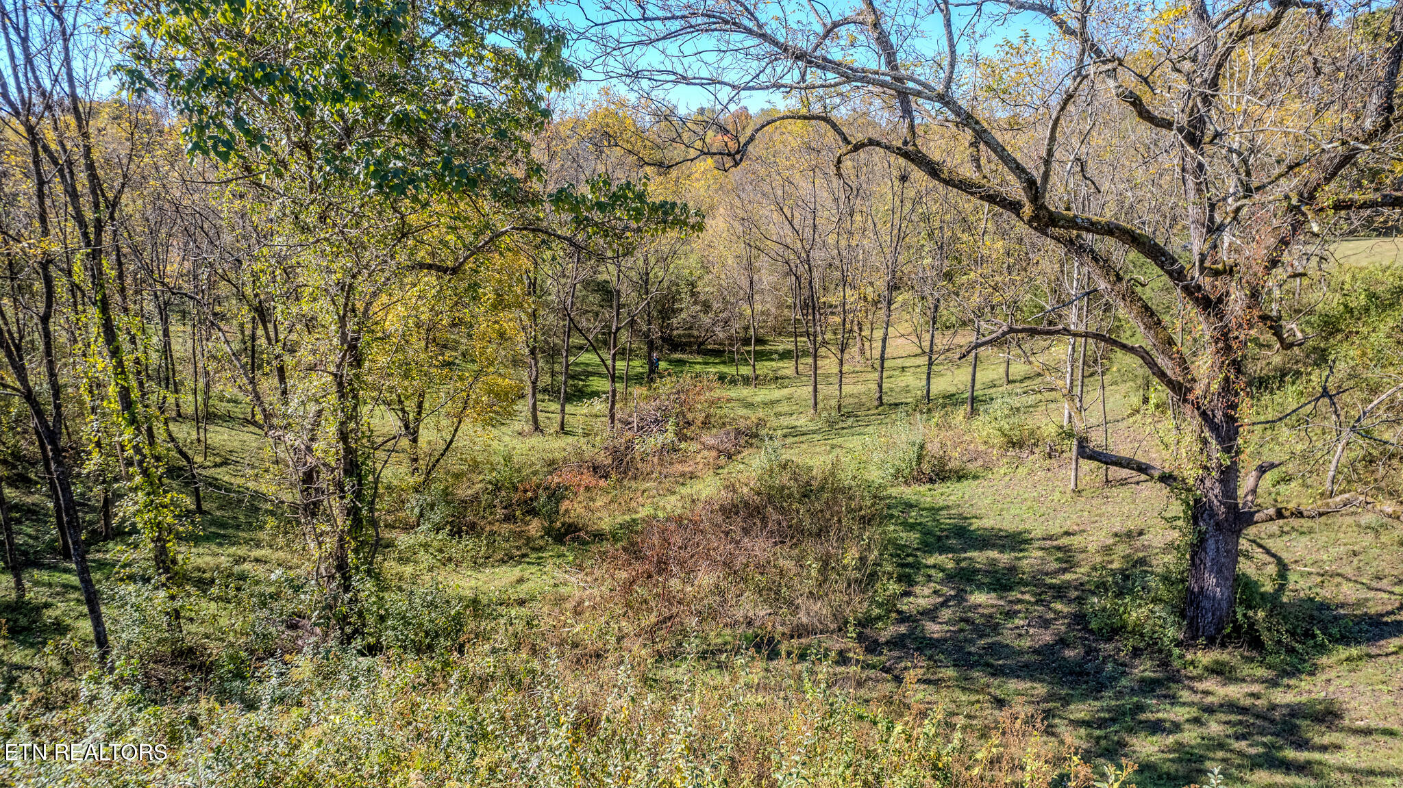 Exeter Drive Andersonville TN 37705