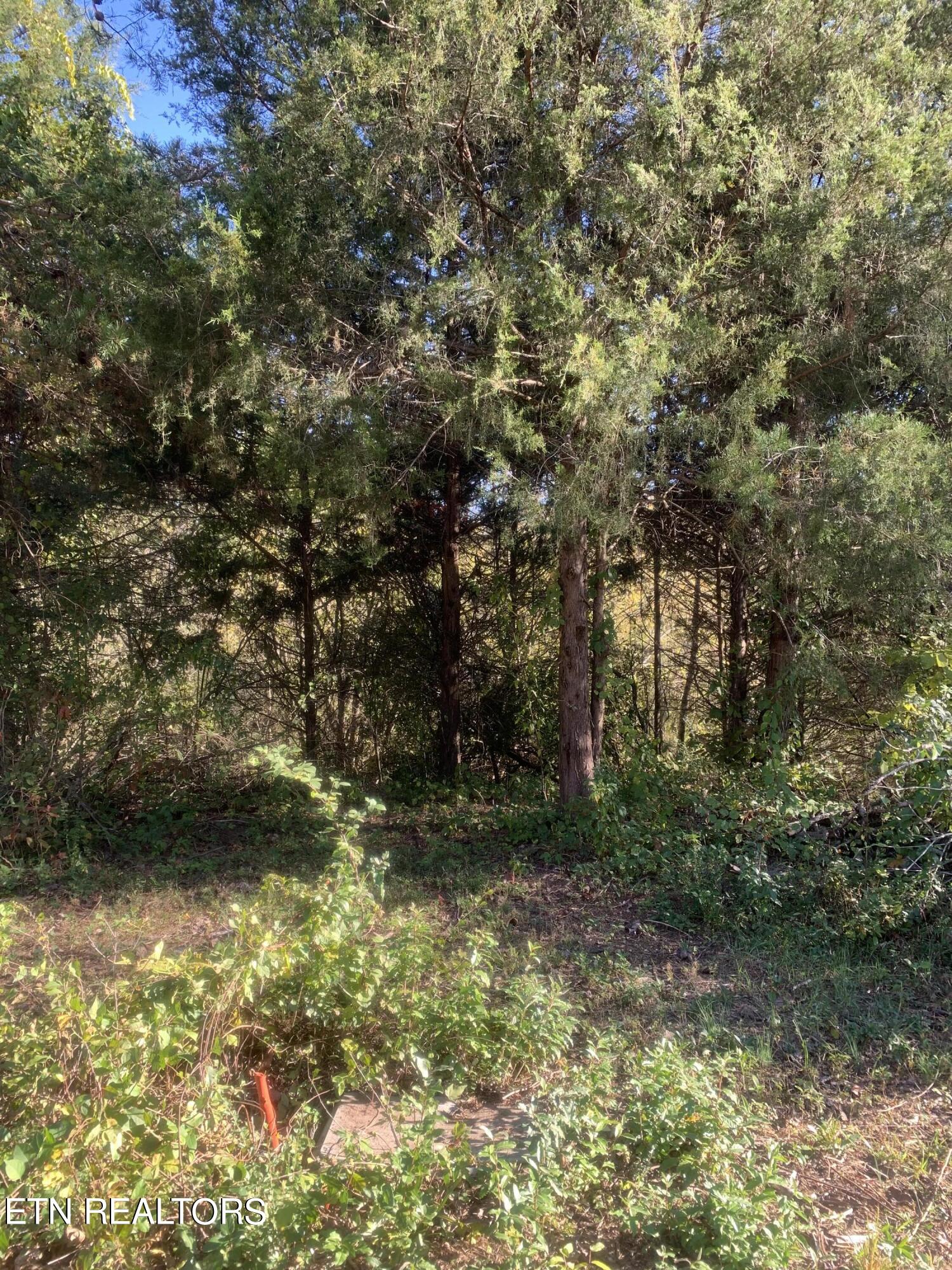 Exeter Drive Andersonville TN 37705