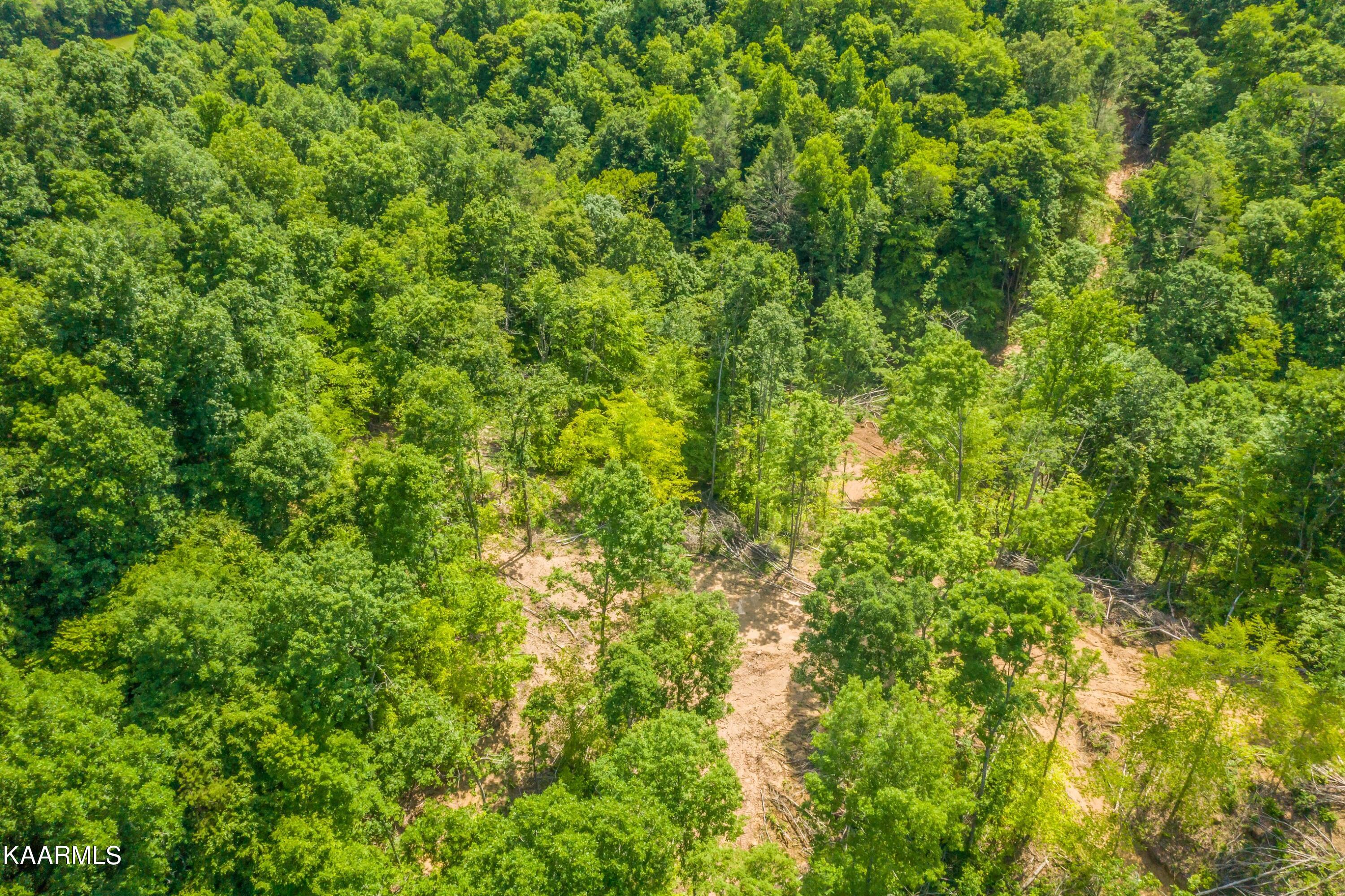 57 Acres Off Hwy 33 Track 2 Tazewell TN 37879