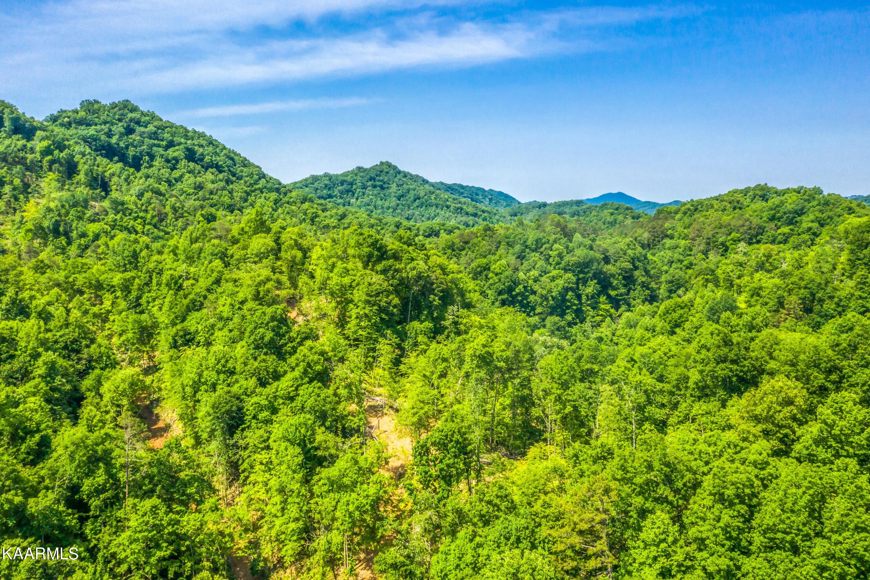 57 Acres Off Hwy 33 Track 2 Tazewell TN 37879