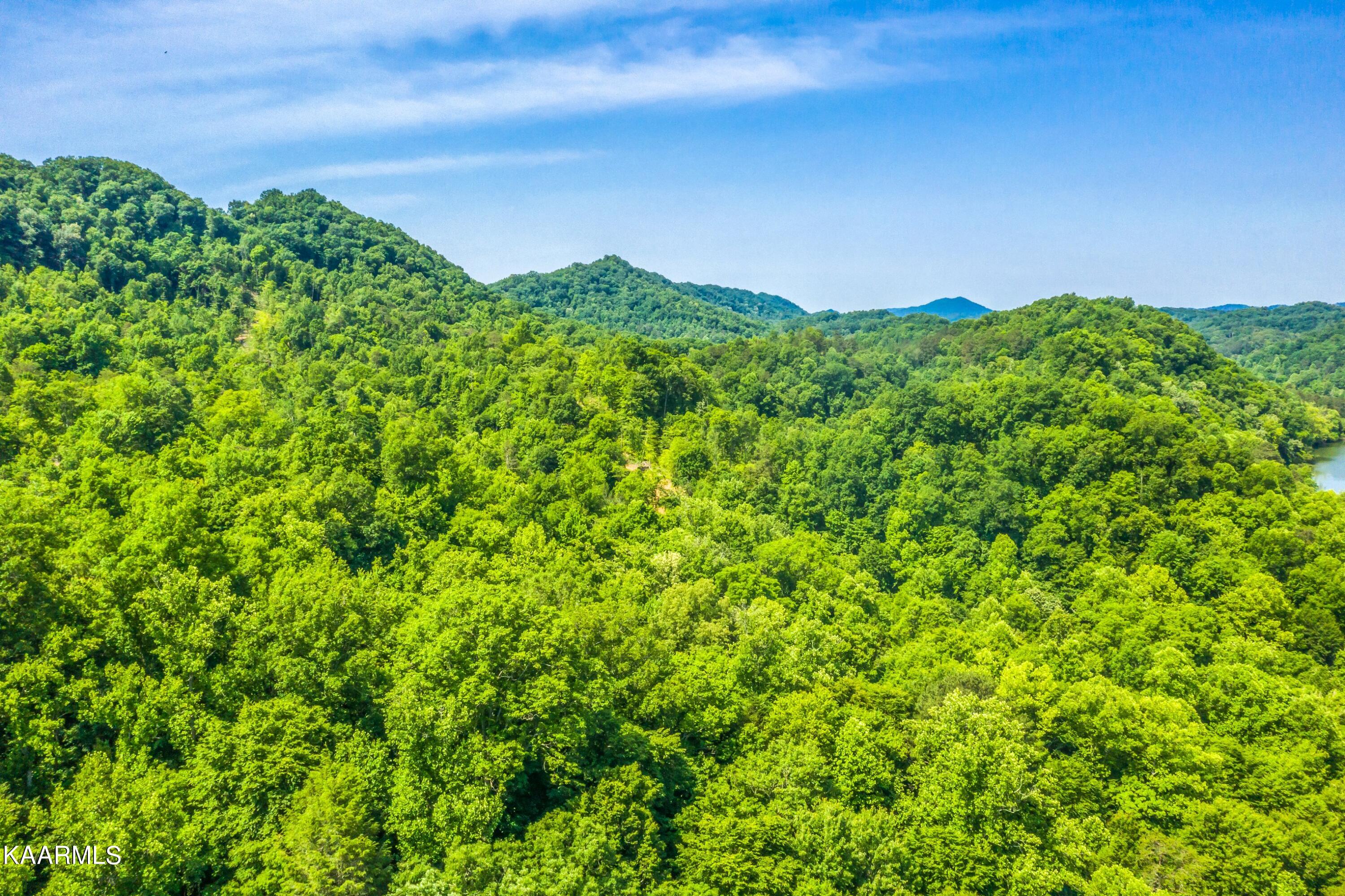 57 Acres Off Hwy 33 Track 2 Tazewell TN 37879