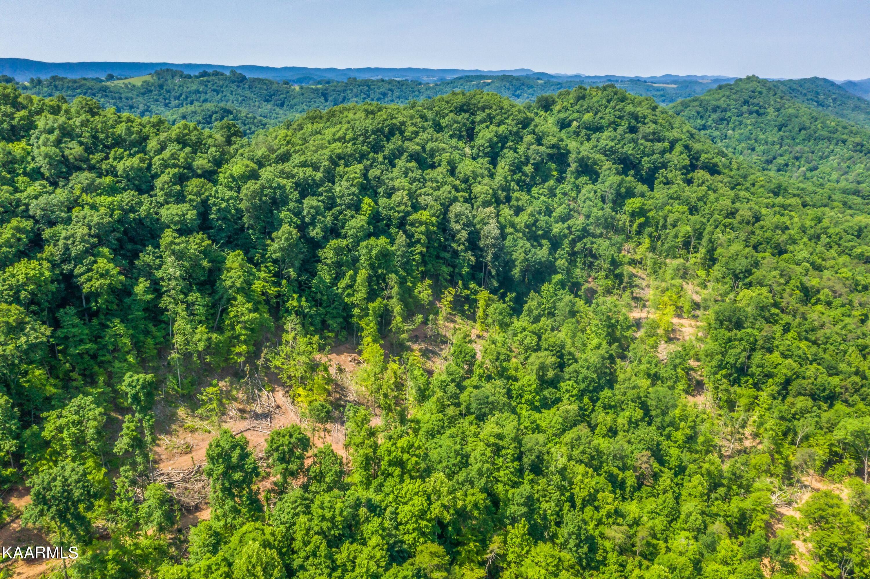 57 Acres Off Hwy 33 Track 2 Tazewell TN 37879