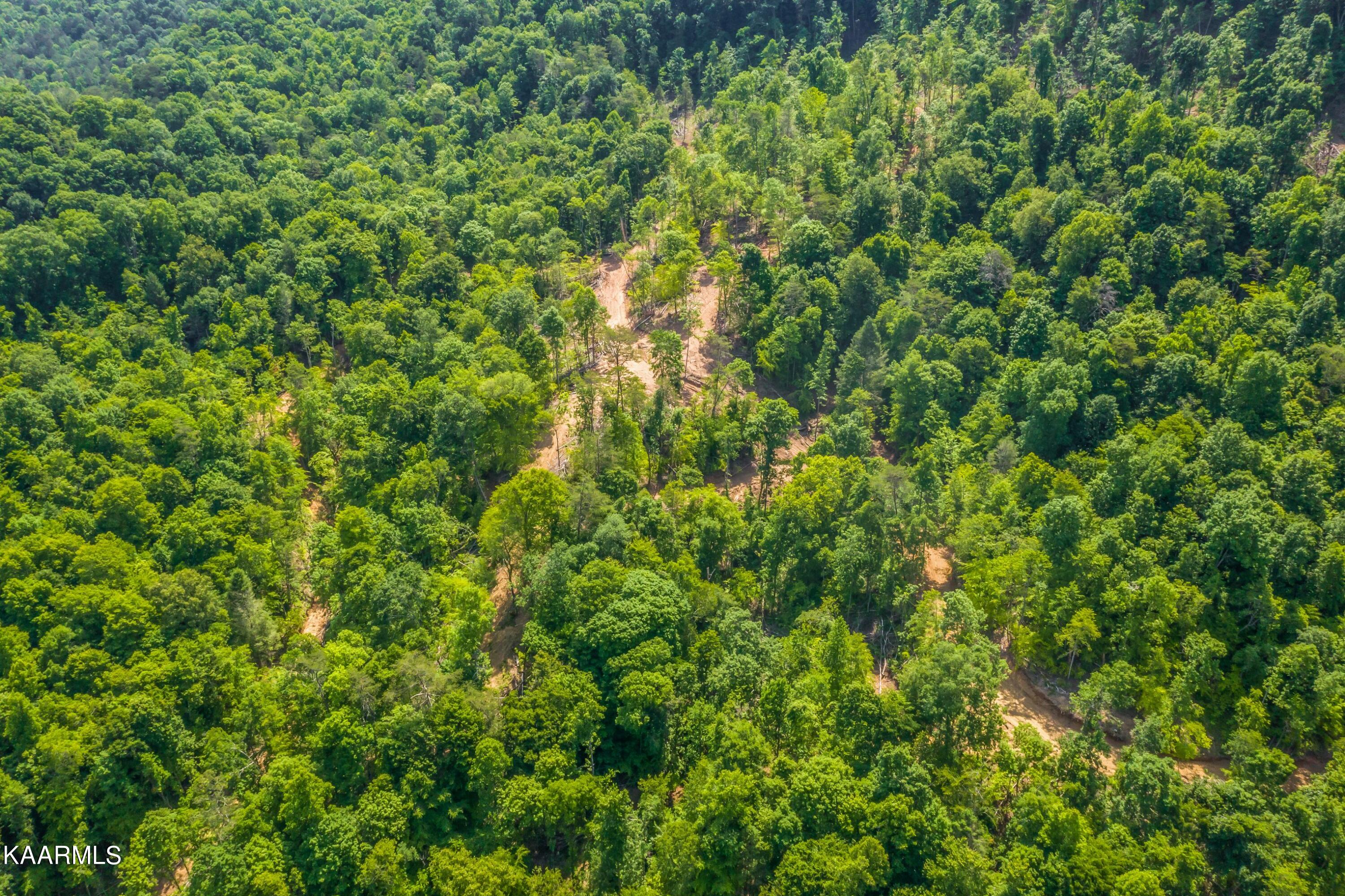 57 Acres Off Hwy 33 Track 2 Tazewell TN 37879