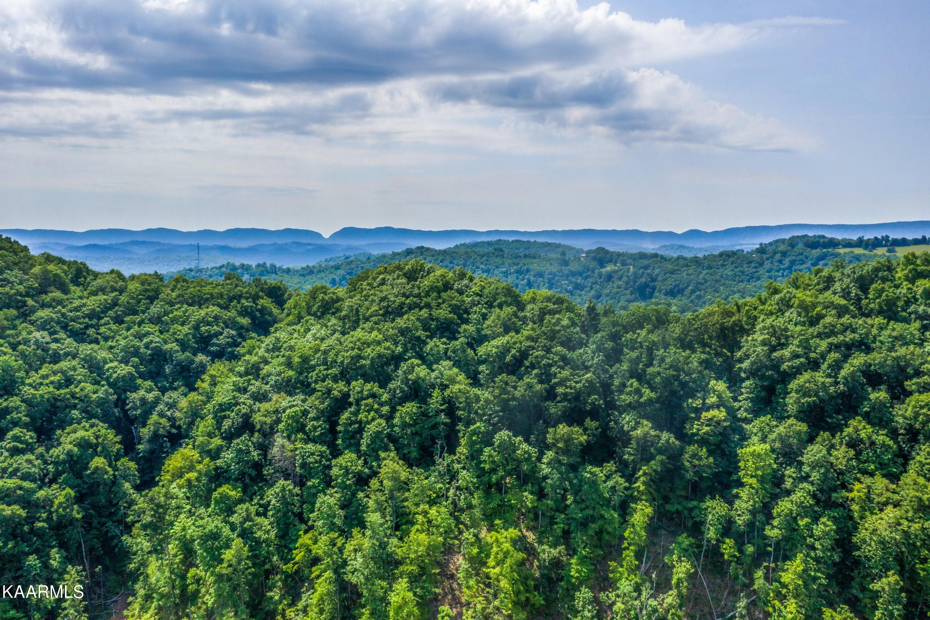 57 Acres Off Hwy 33 Track 2 Tazewell TN 37879