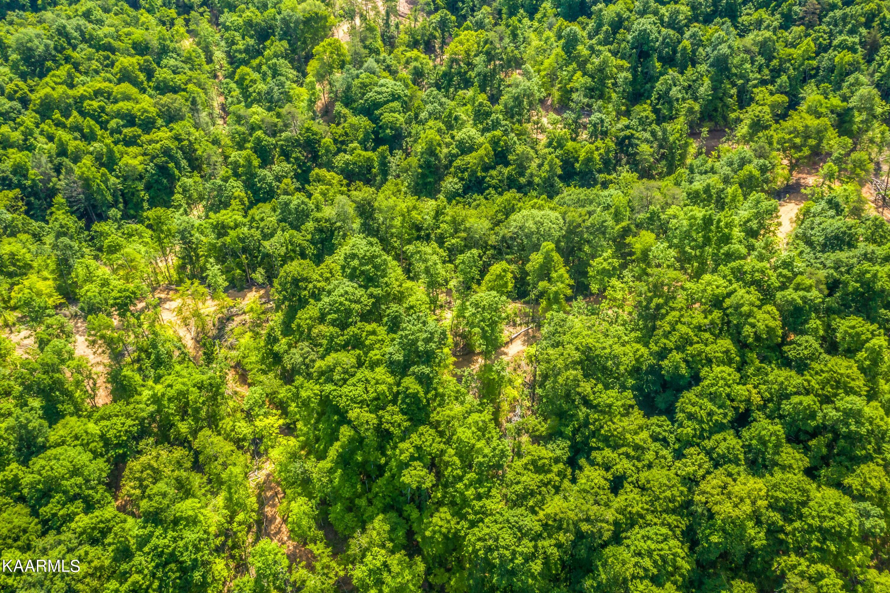 57 Acres Off Hwy 33 Track 2 Tazewell TN 37879
