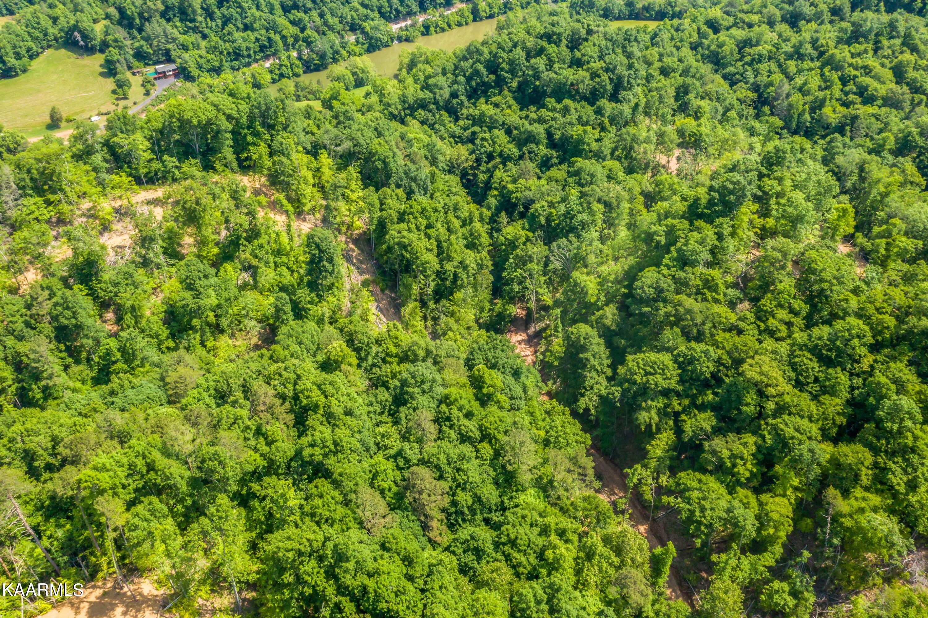 57 Acres Off Hwy 33 Track 2 Tazewell TN 37879