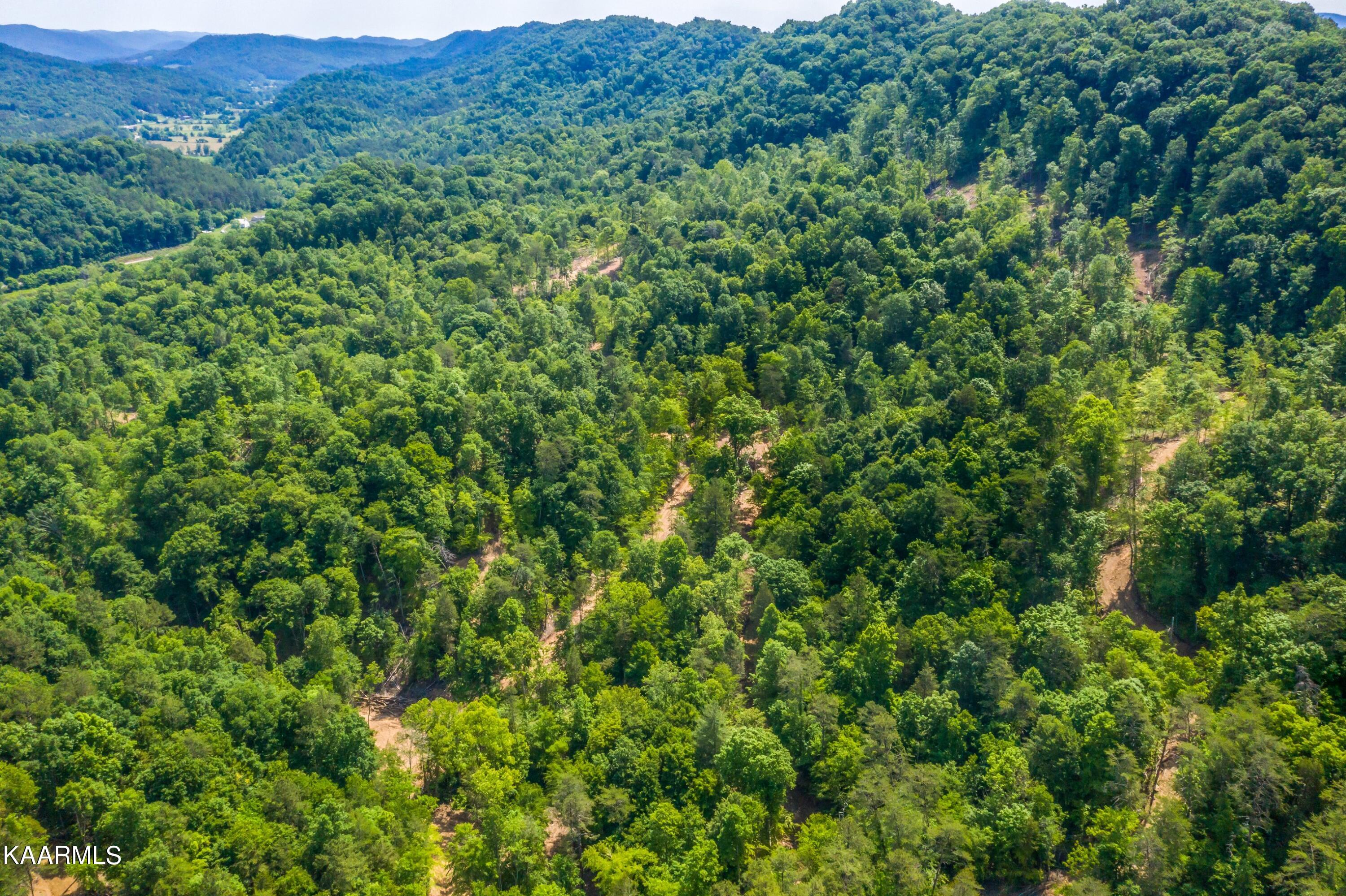 57 Acres Off Hwy 33 Track 2 Tazewell TN 37879