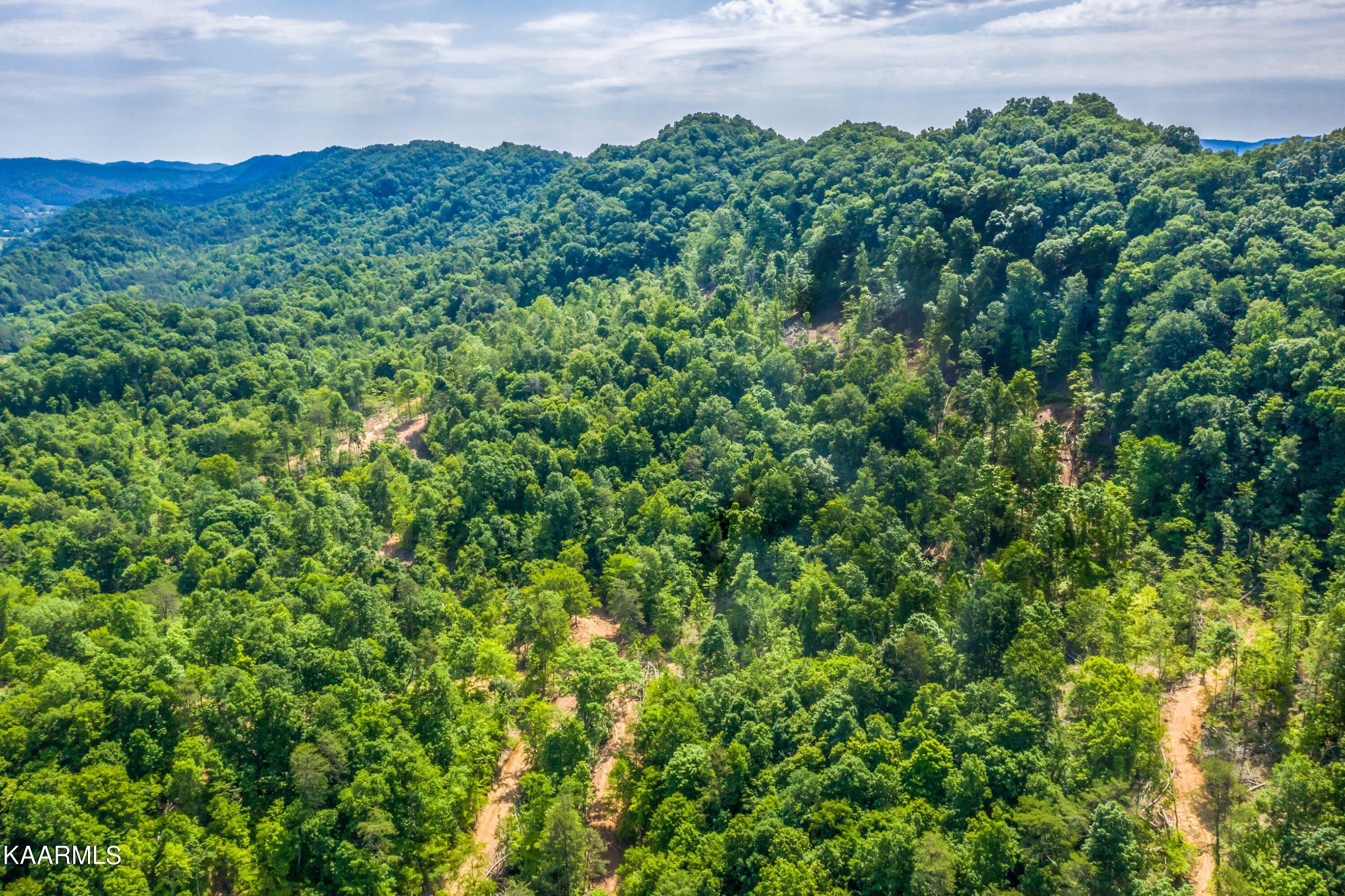 57 Acres Off Hwy 33 Track 2 Tazewell TN 37879