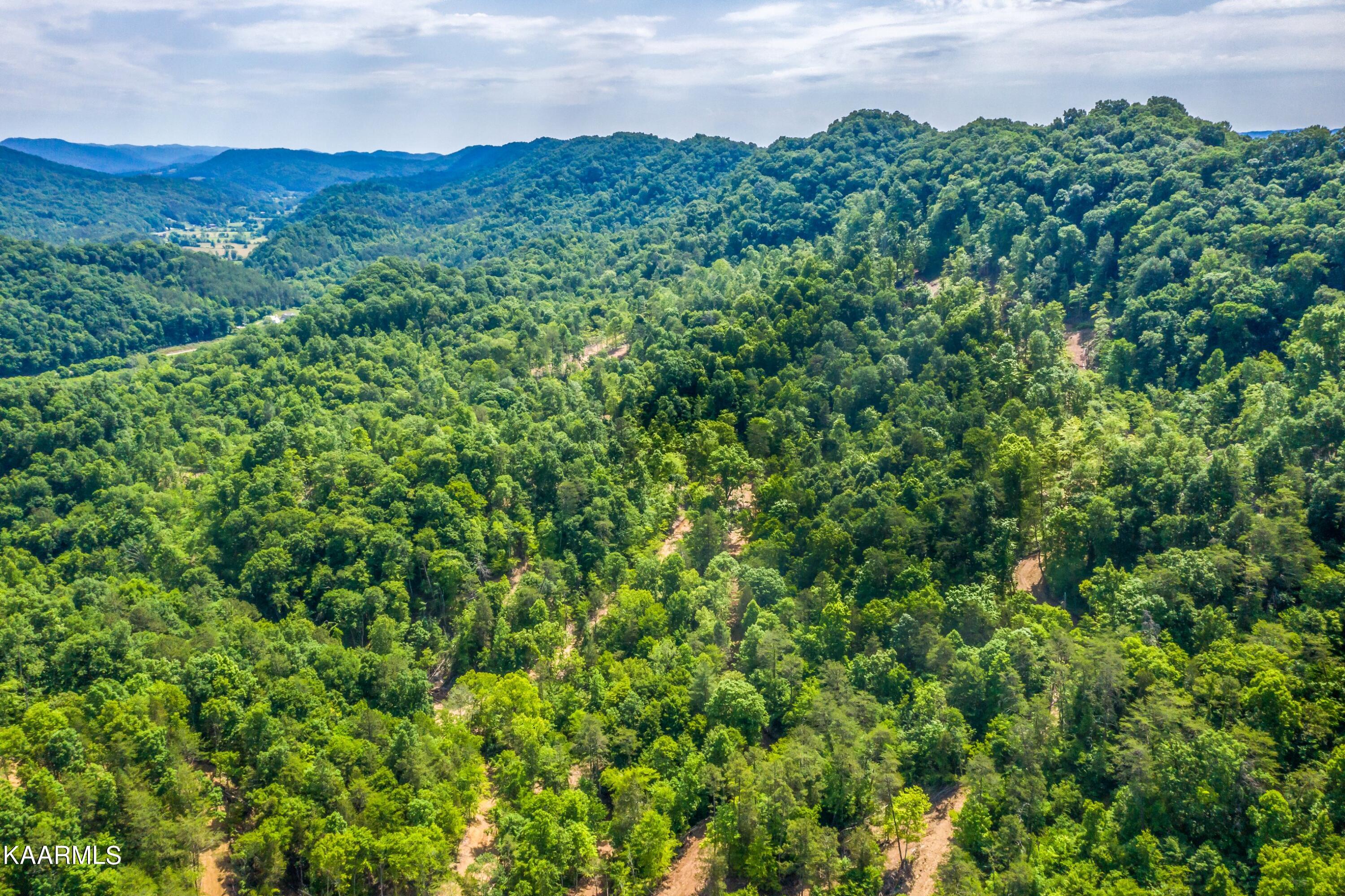 57 Acres Off Hwy 33 Track 2 Tazewell TN 37879