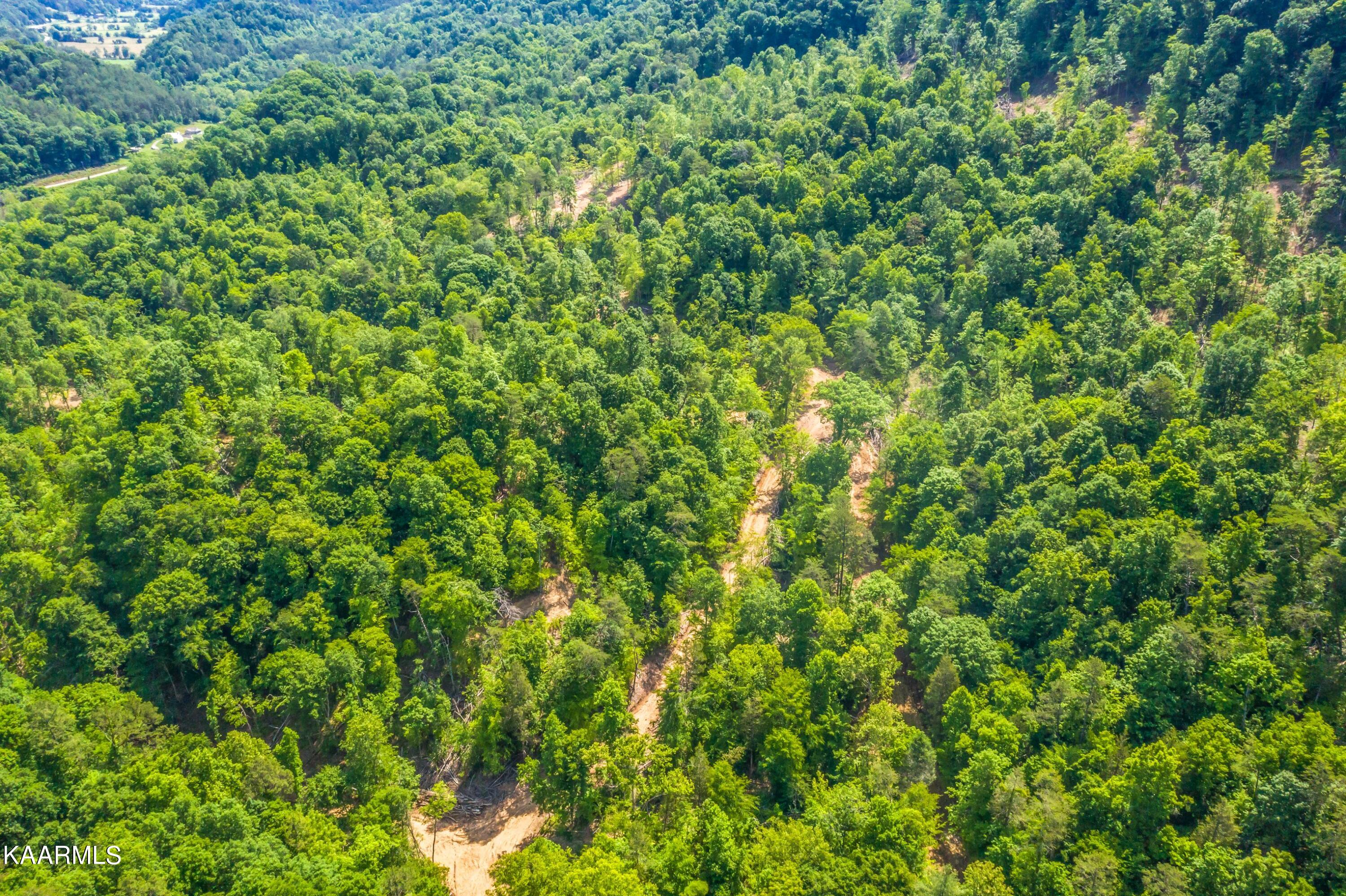 57 Acres Off Hwy 33 Track 2 Tazewell TN 37879