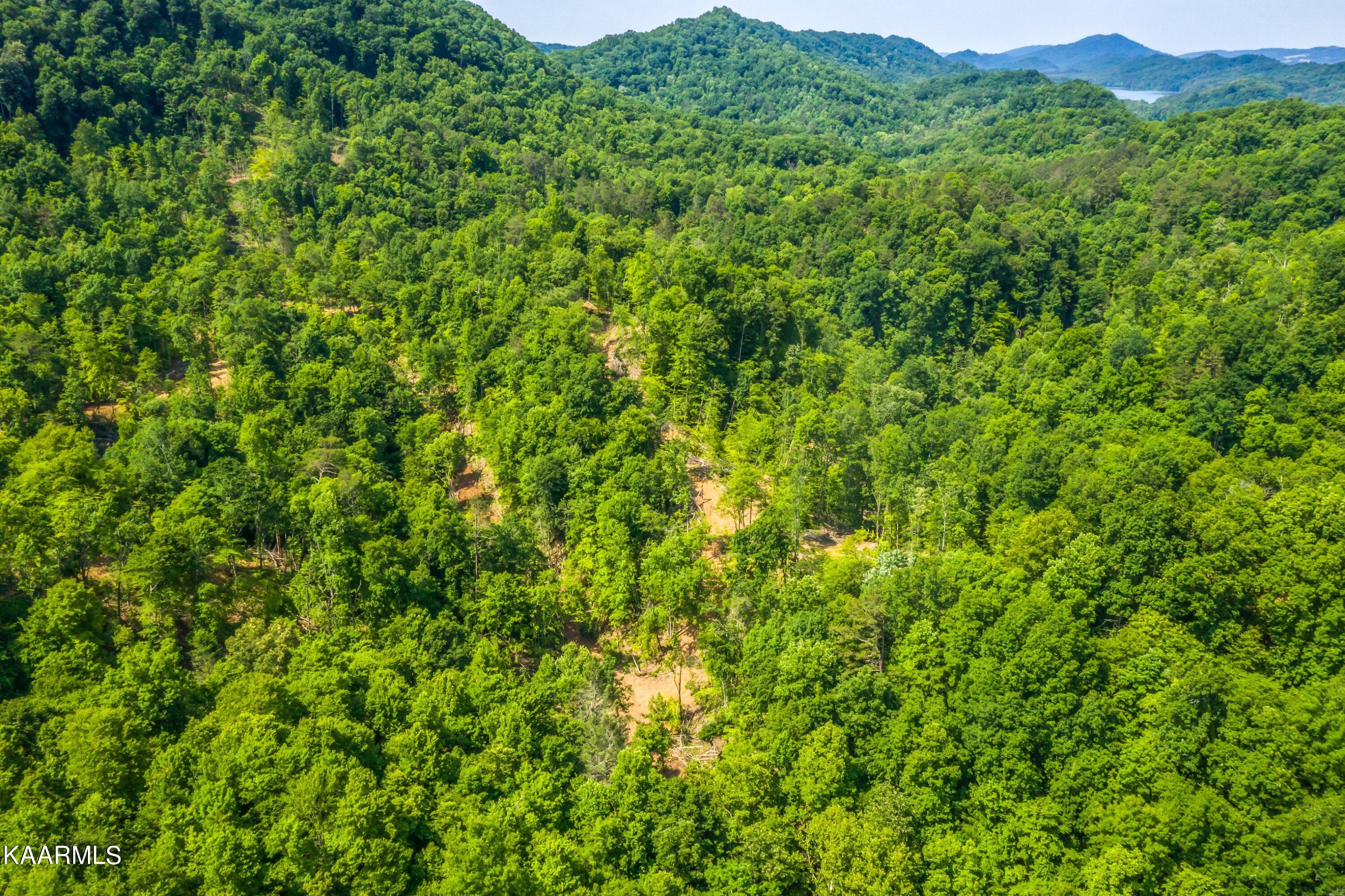 57 Acres Off Hwy 33 Track 2 Tazewell TN 37879