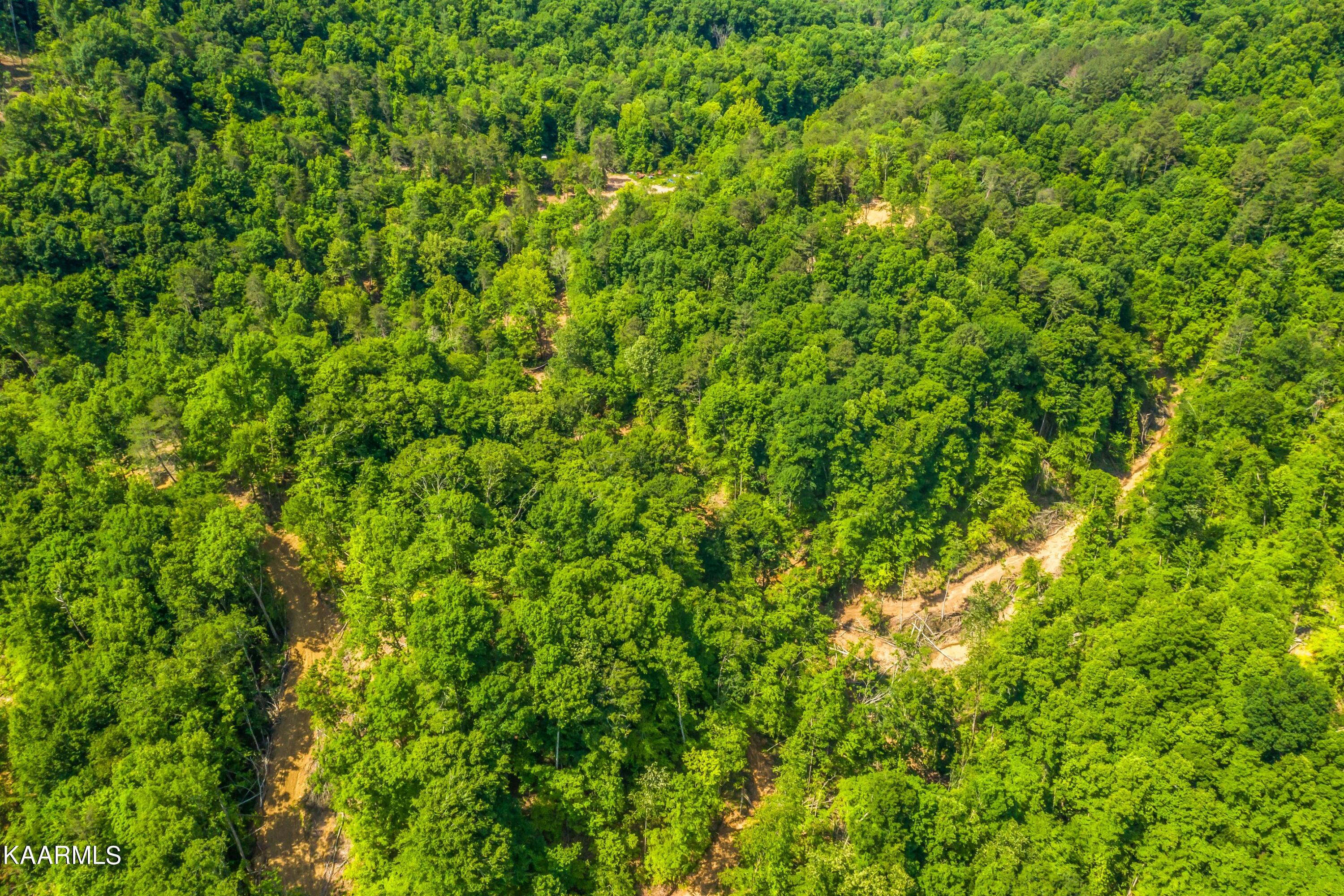 57 Acres Off Hwy 33 Track 2 Tazewell TN 37879