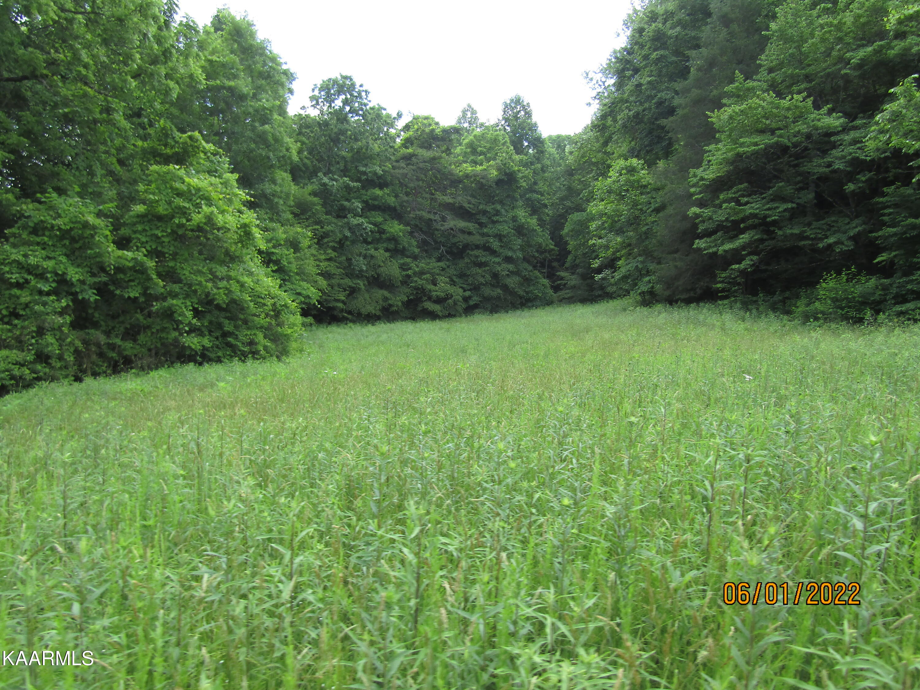57 Acres Off Hwy 33 Track 2 Tazewell TN 37879