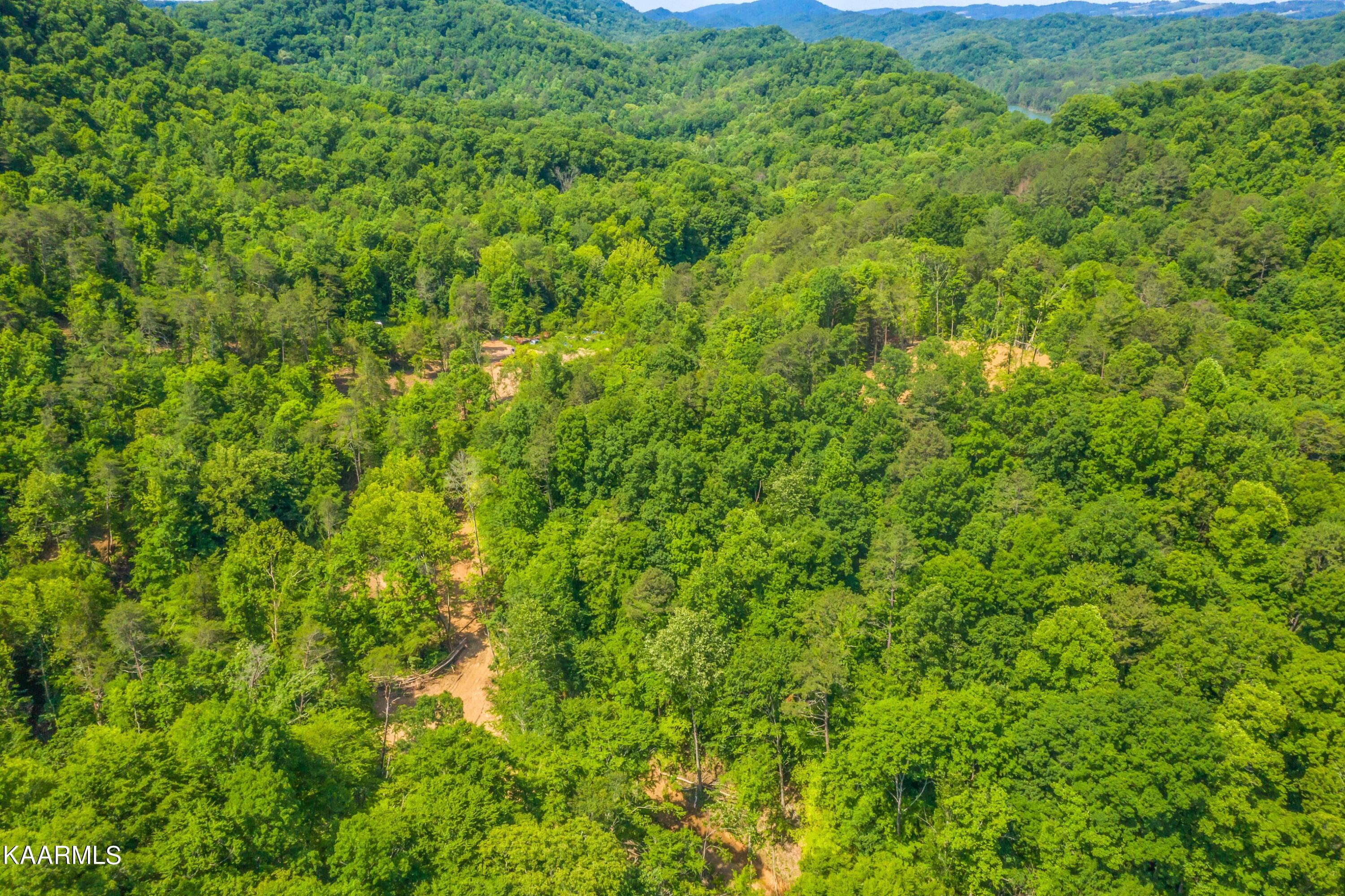57 Acres Off Hwy 33 Track 2 Tazewell TN 37879