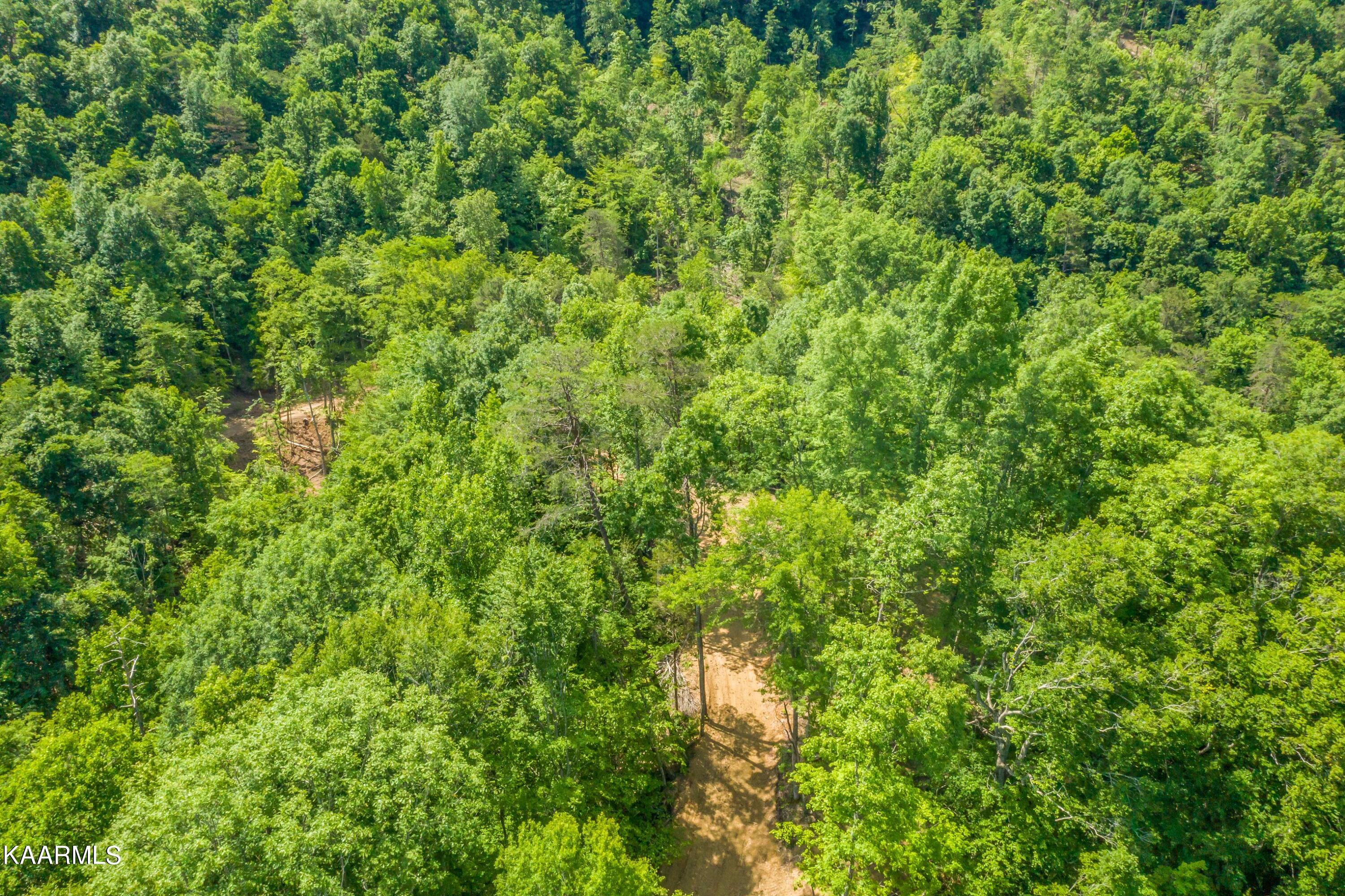 57 Acres Off Hwy 33 Track 2 Tazewell TN 37879