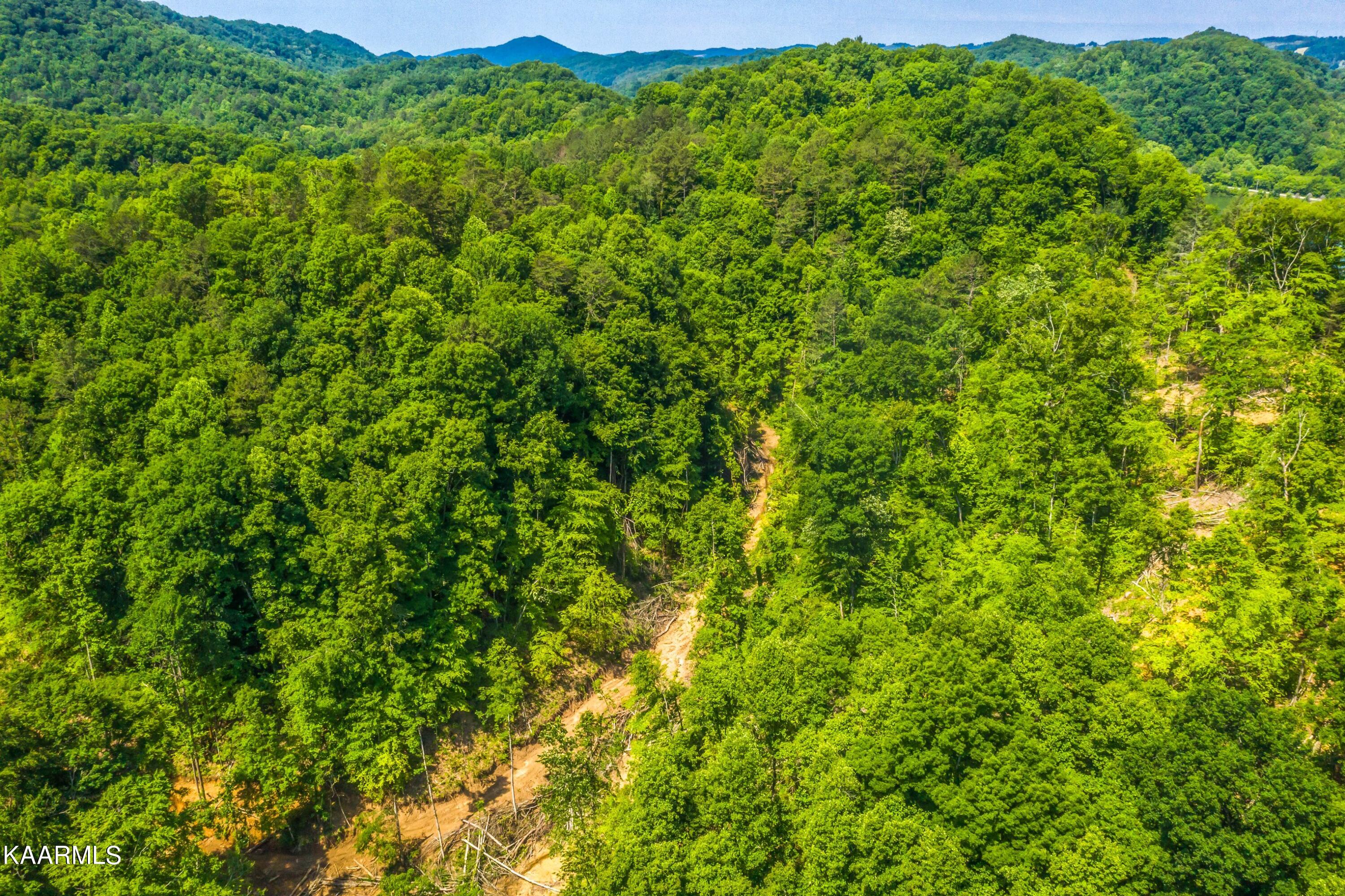 57 Acres Off Hwy 33 Track 2 Tazewell TN 37879